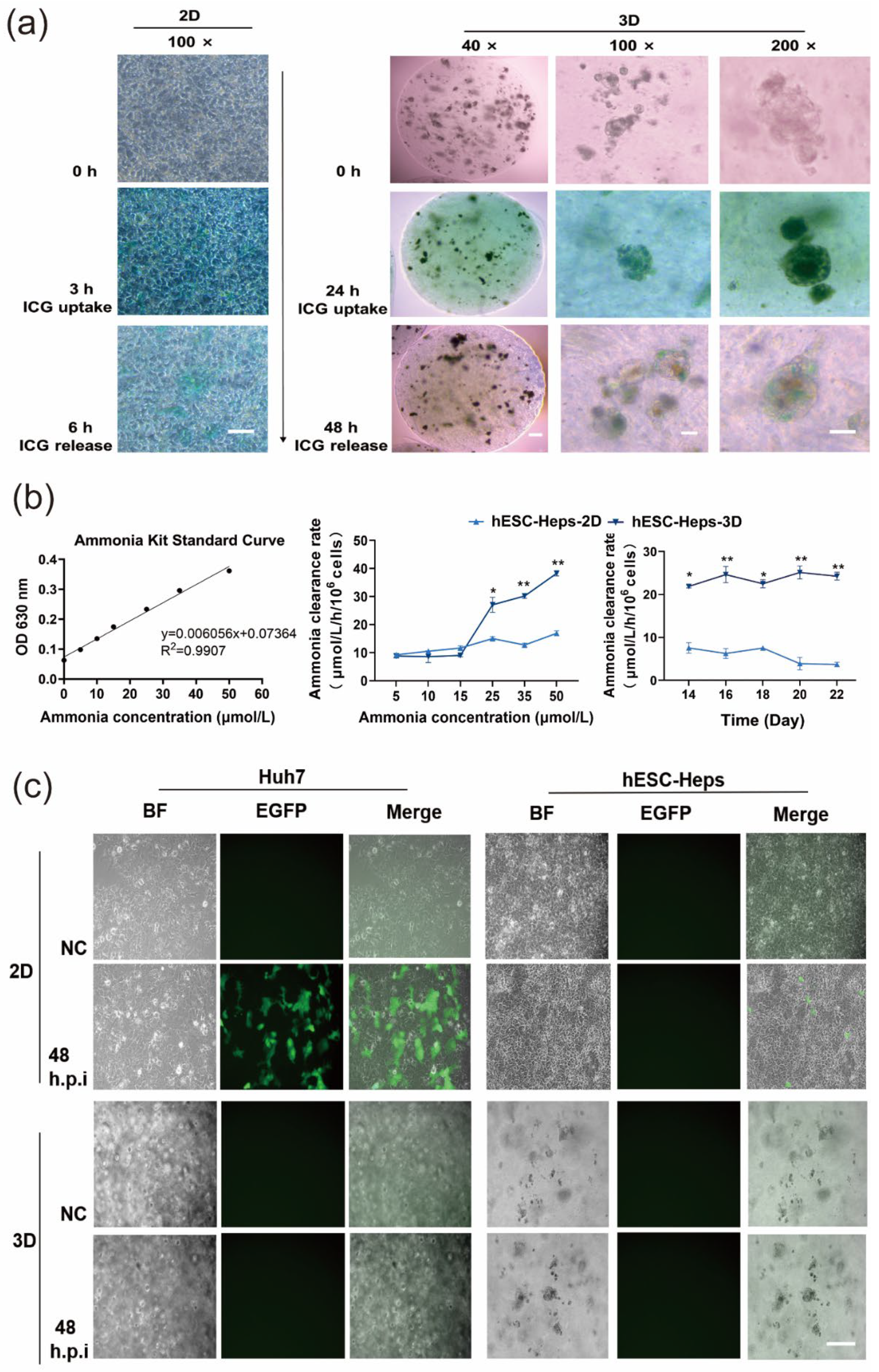 Cells 11 03134 g004 Cells 11 03134 g004