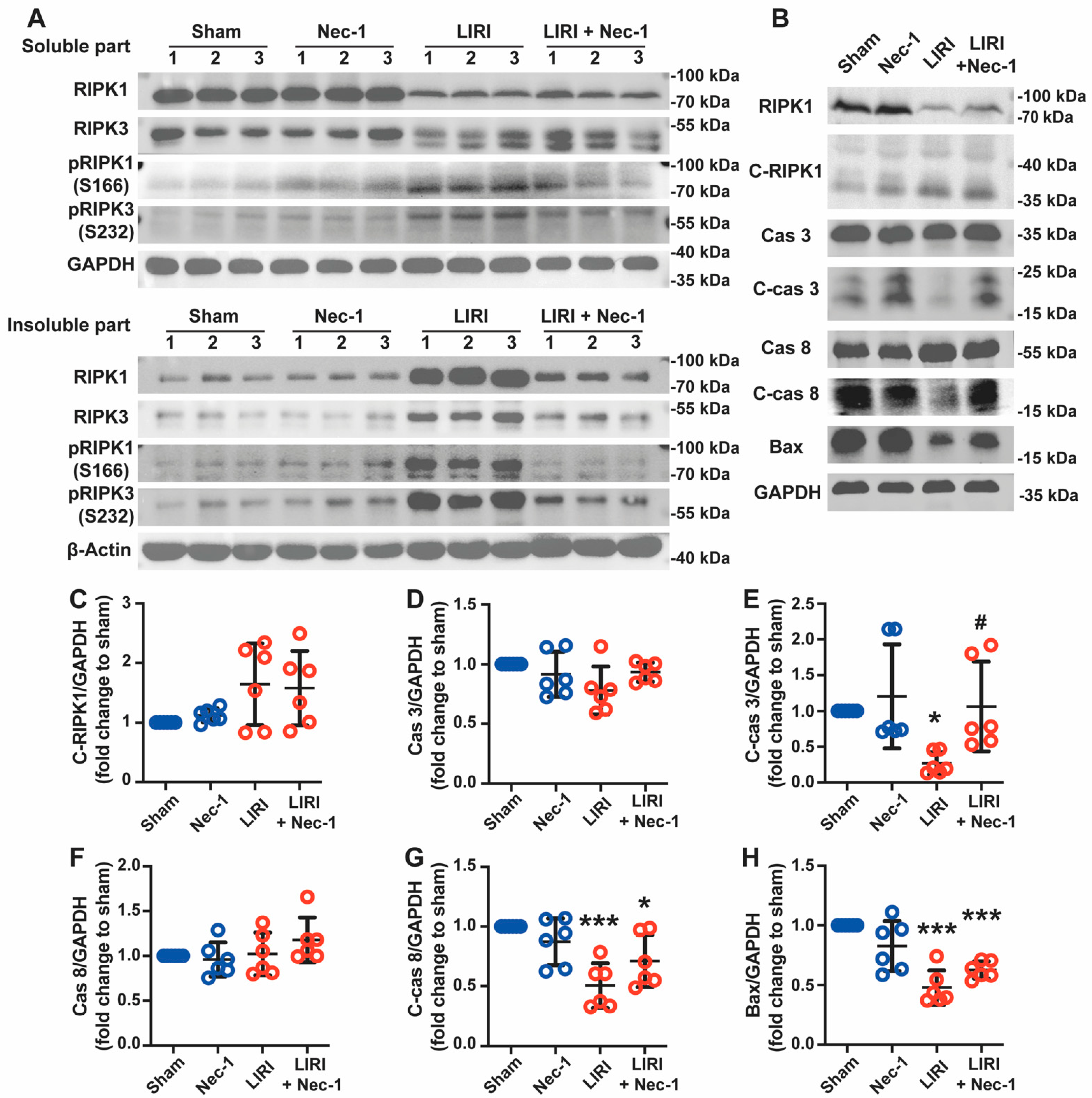 Cells 11 03139 g005 Cells 11 03139 g005