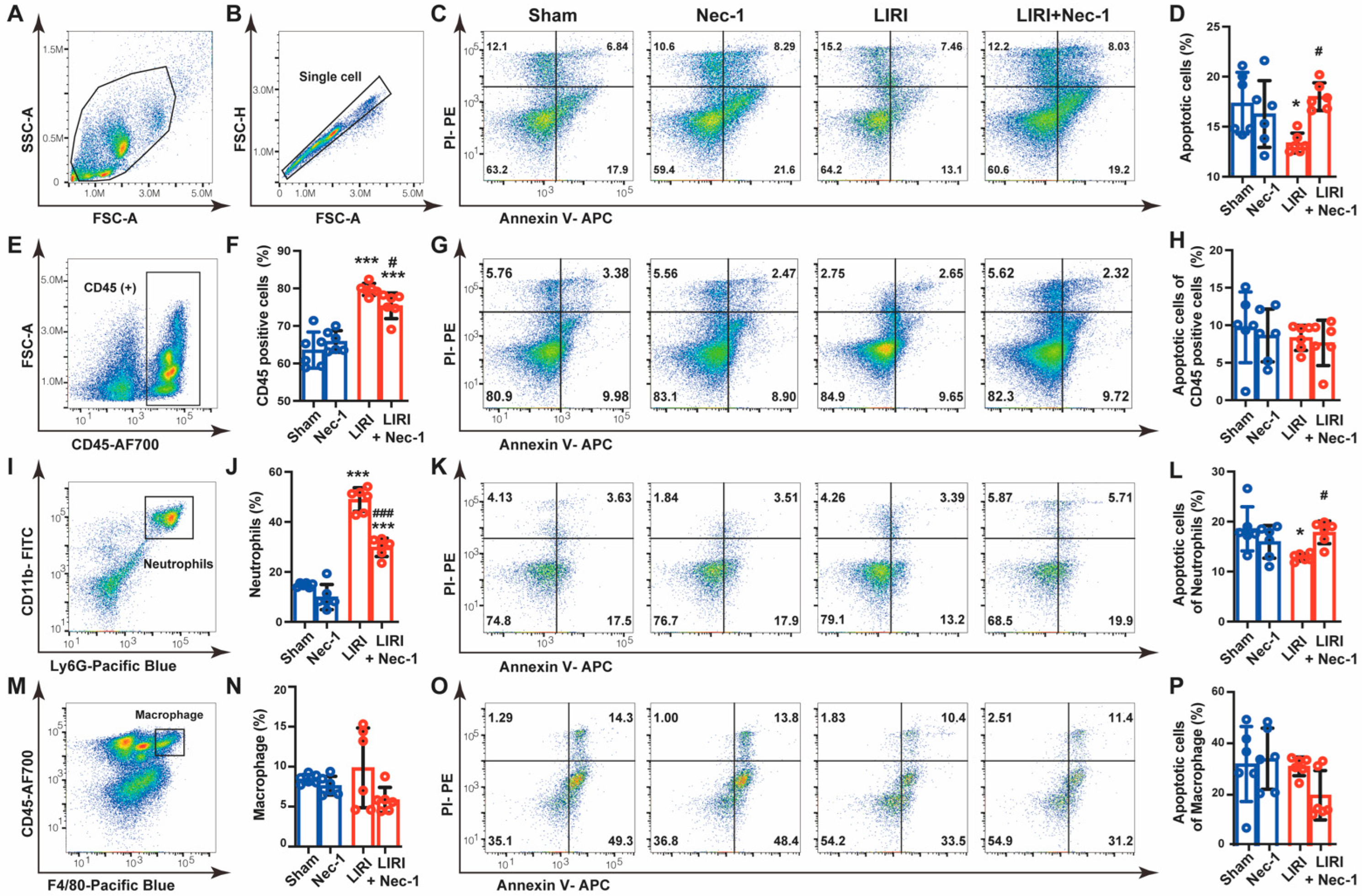 Cells 11 03139 g006 Cells 11 03139 g006