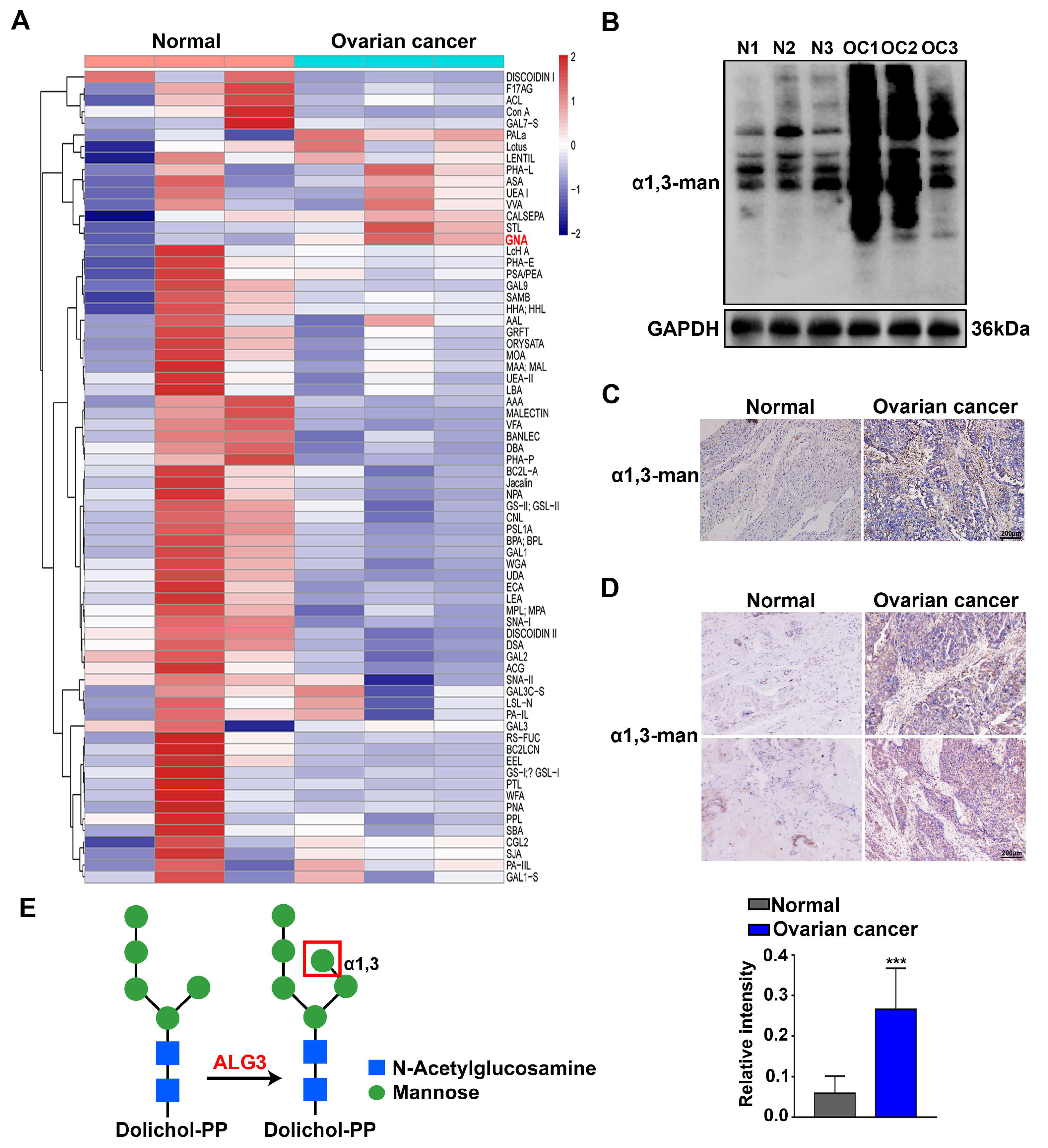 Cells 11 03141 g001 Cells 11 03141 g001