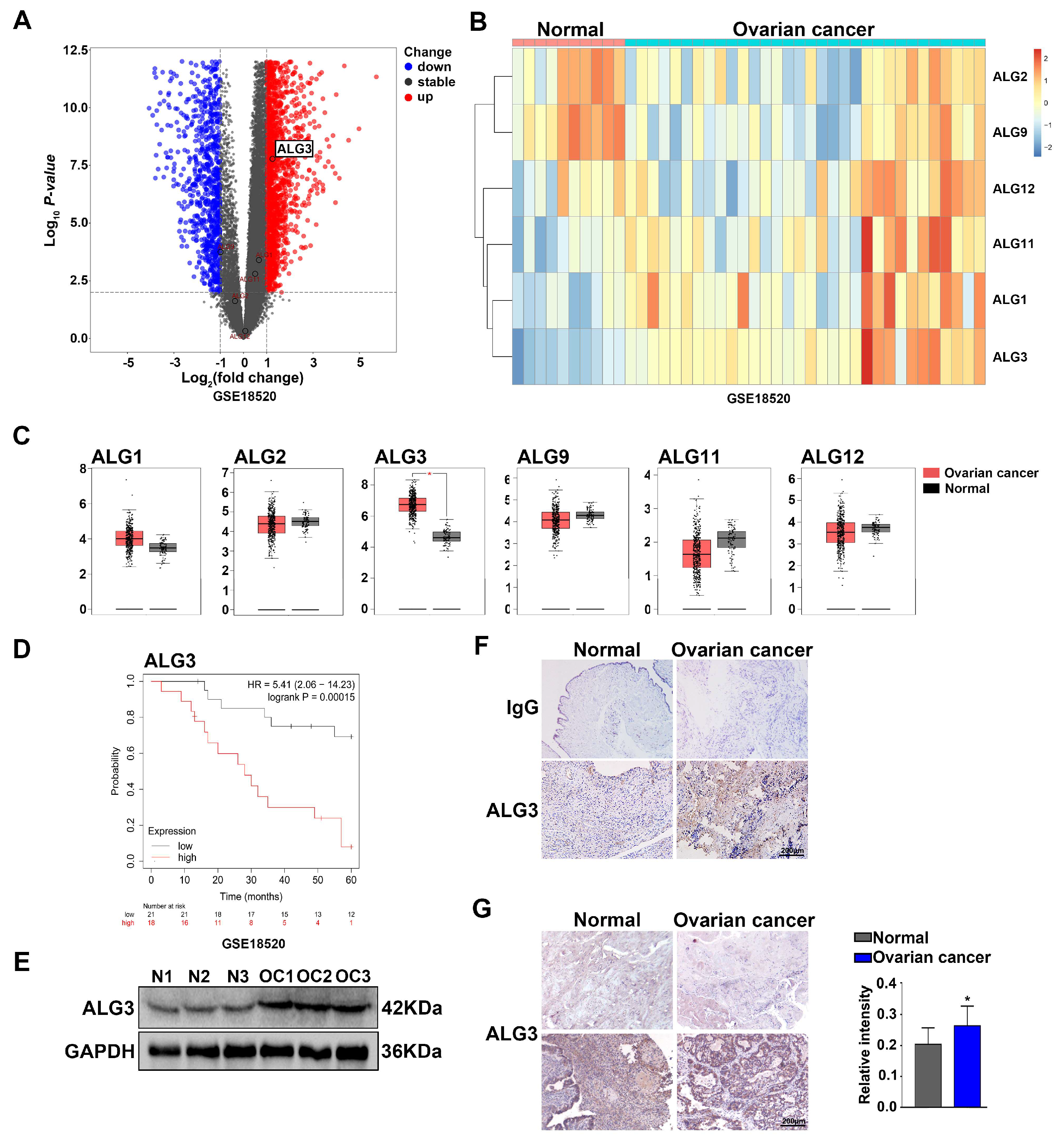 Cells 11 03141 g002 Cells 11 03141 g002