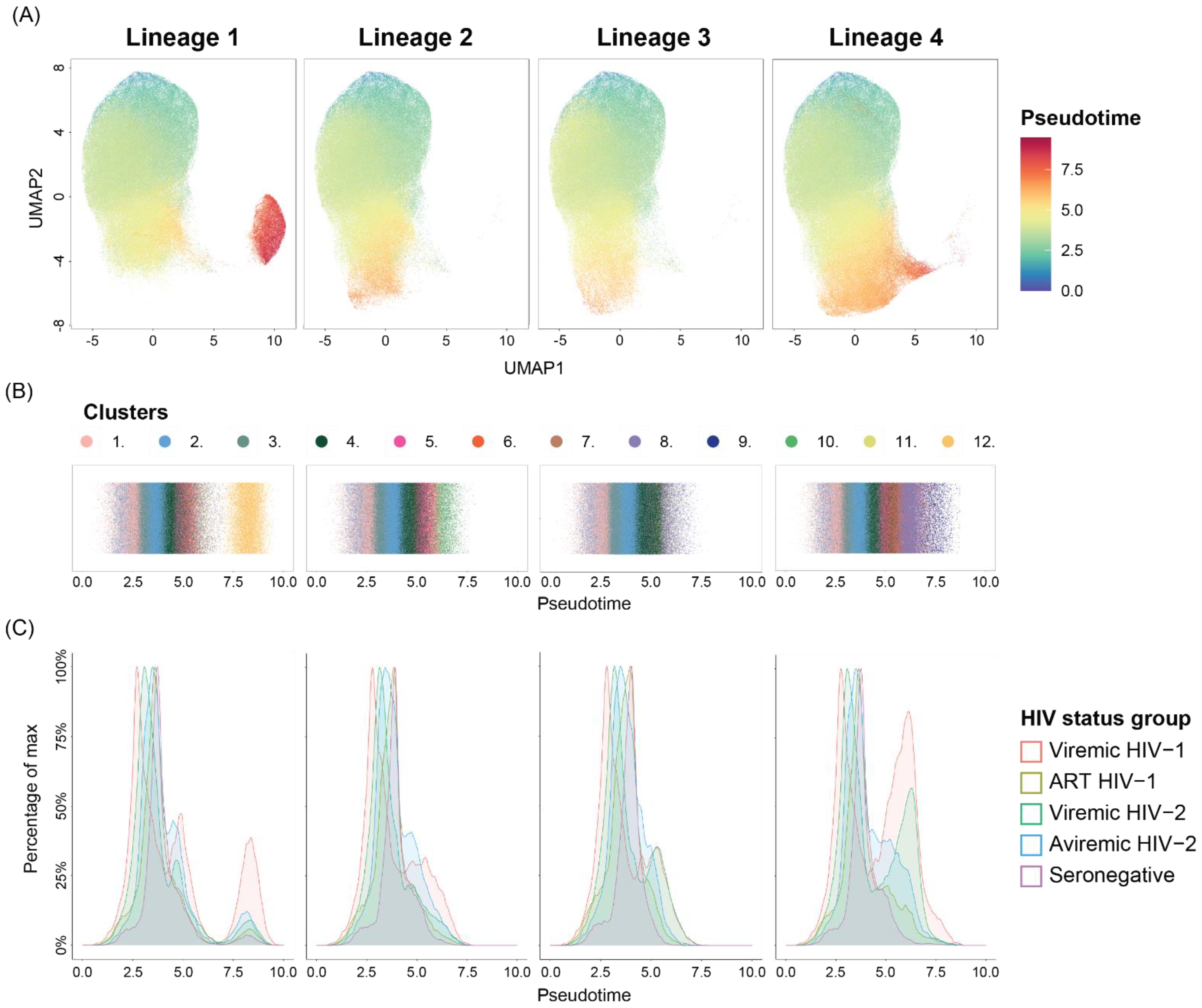Cells 11 03142 g004 Cells 11 03142 g004