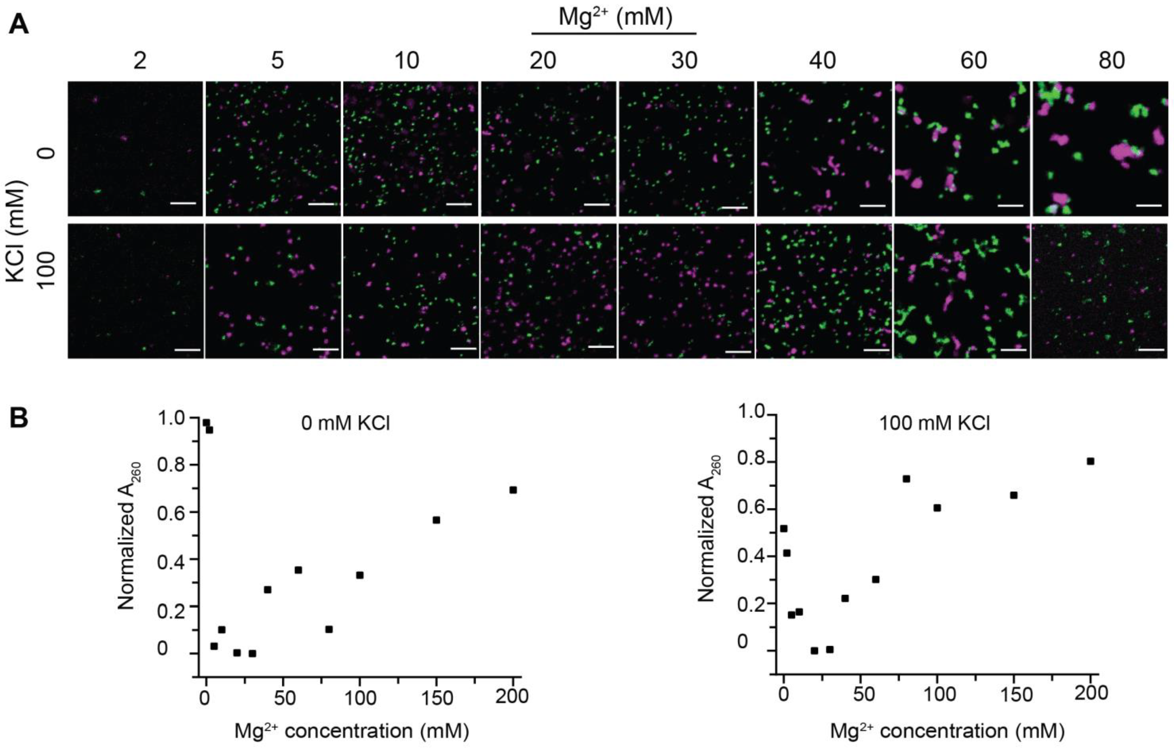 Cells 11 03145 g005 Cells 11 03145 g005