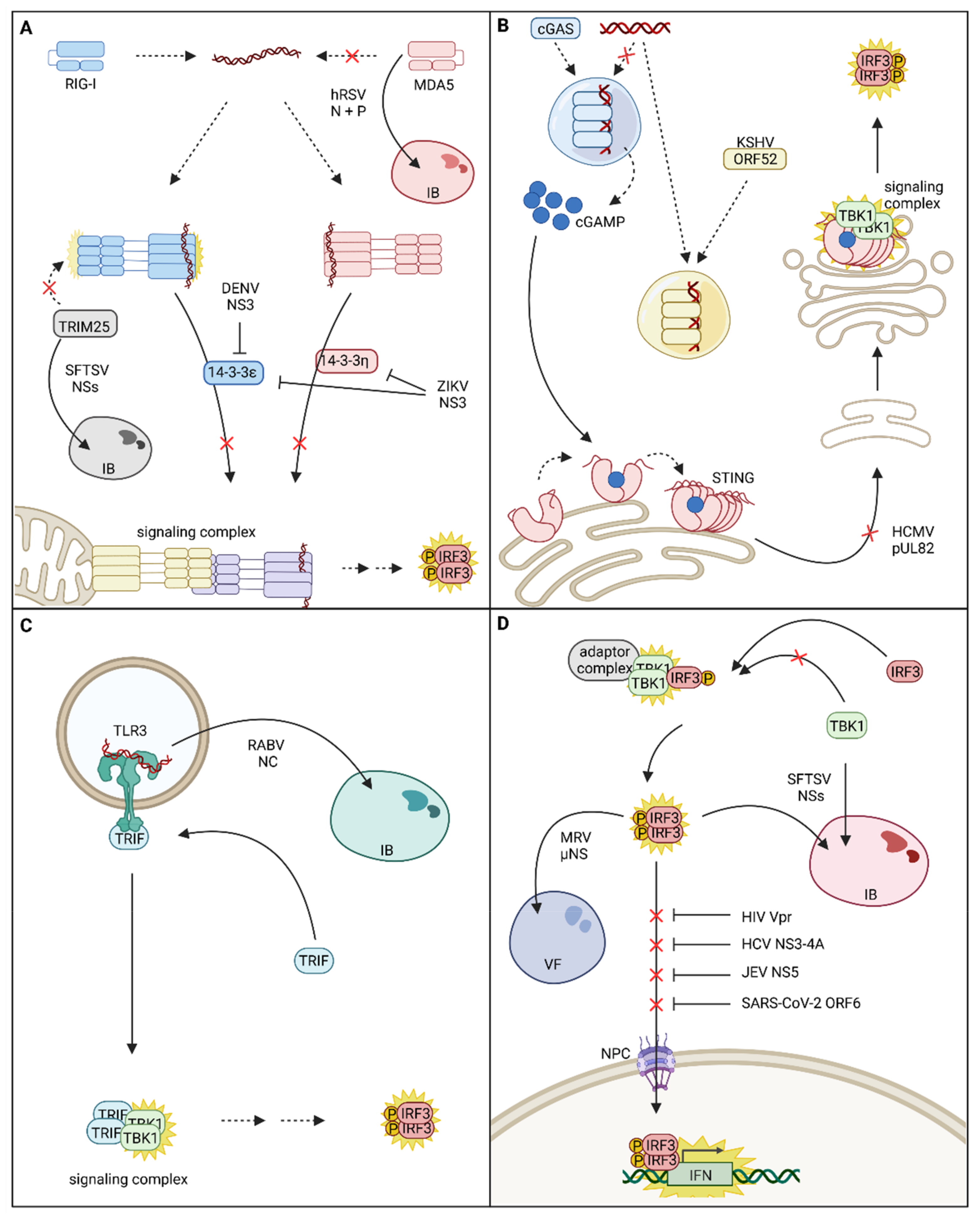 Cells 11 03149 g002 Cells 11 03149 g002