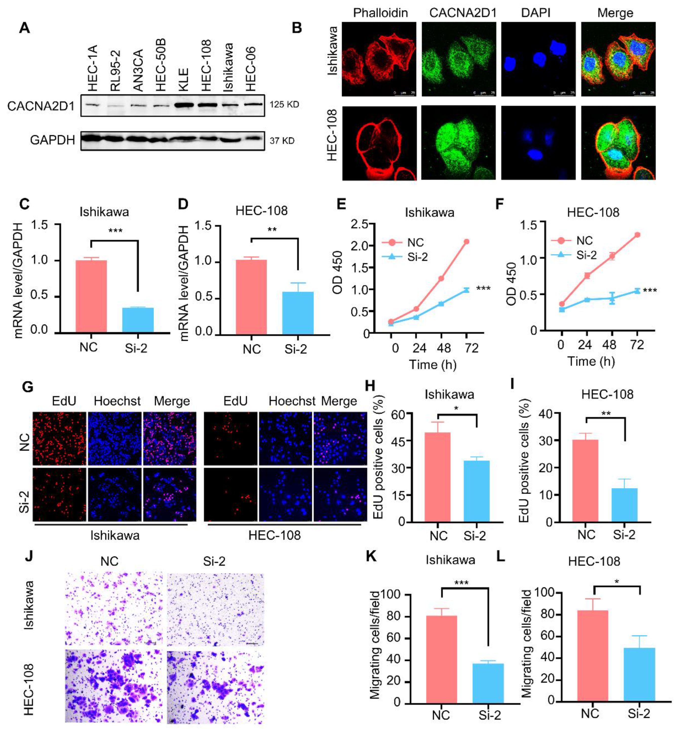 Cells 11 03156 g005 Cells 11 03156 g005