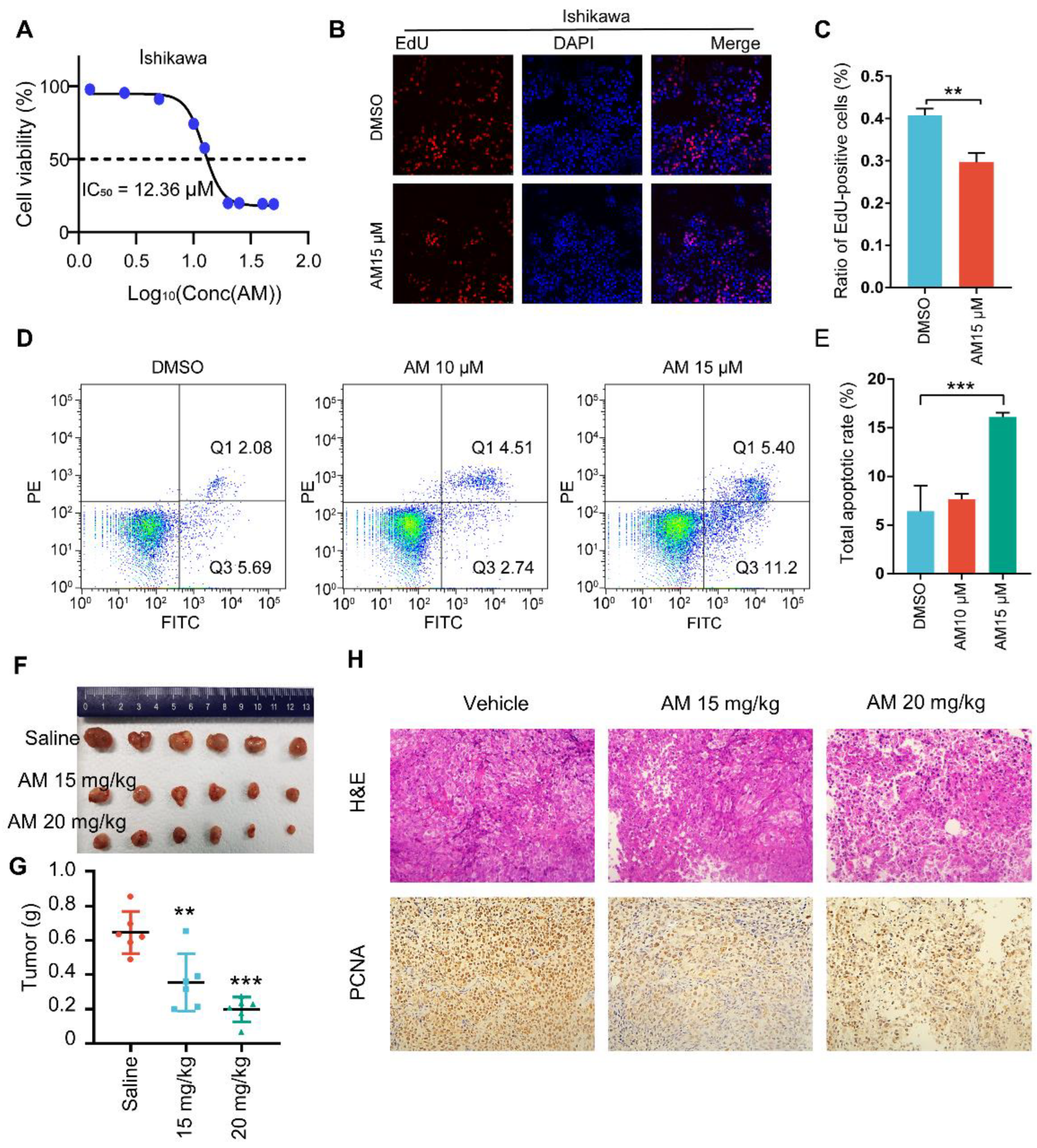 Cells 11 03156 g006 Cells 11 03156 g006