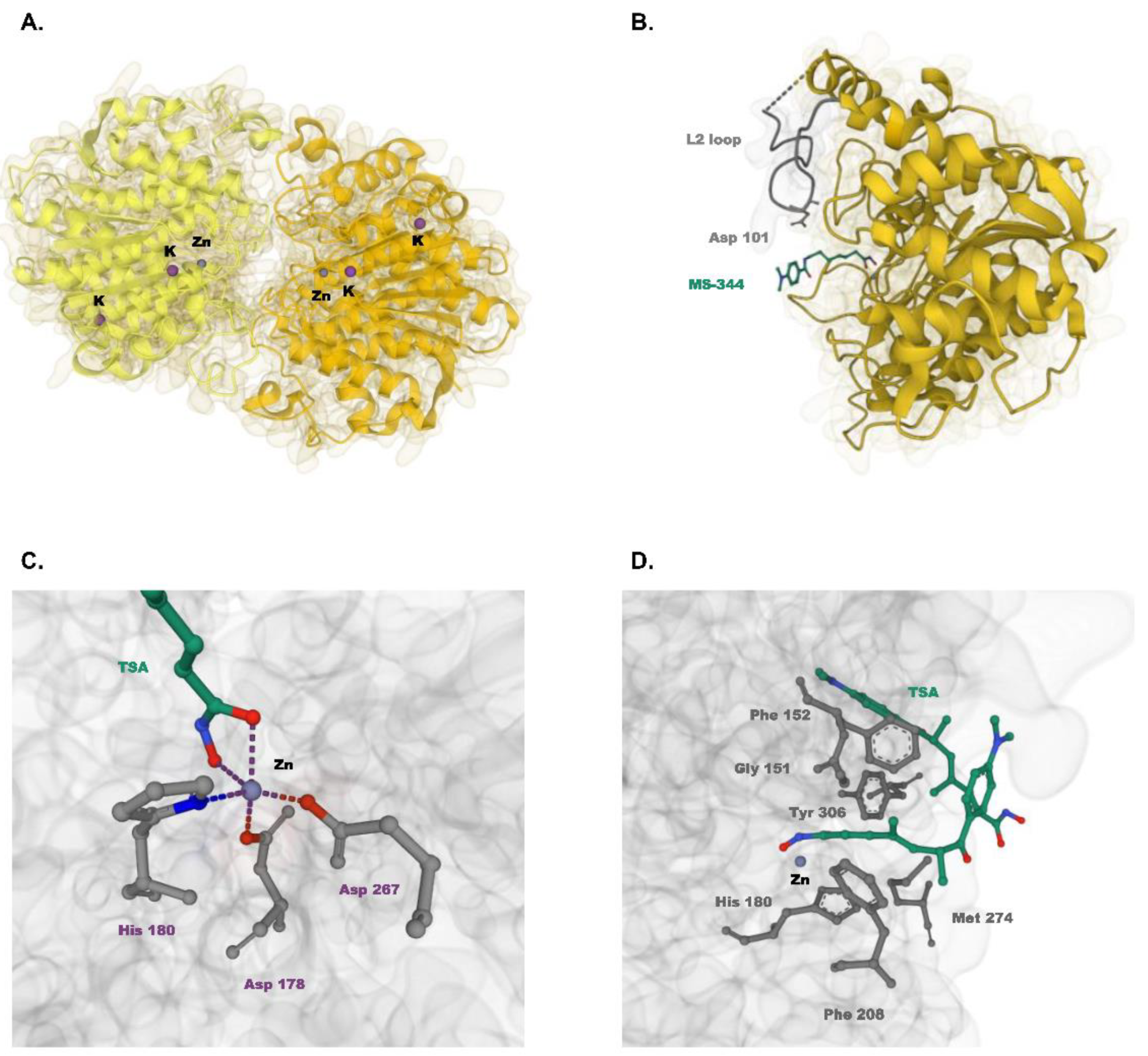 Cells 11 03161 g001 Cells 11 03161 g001