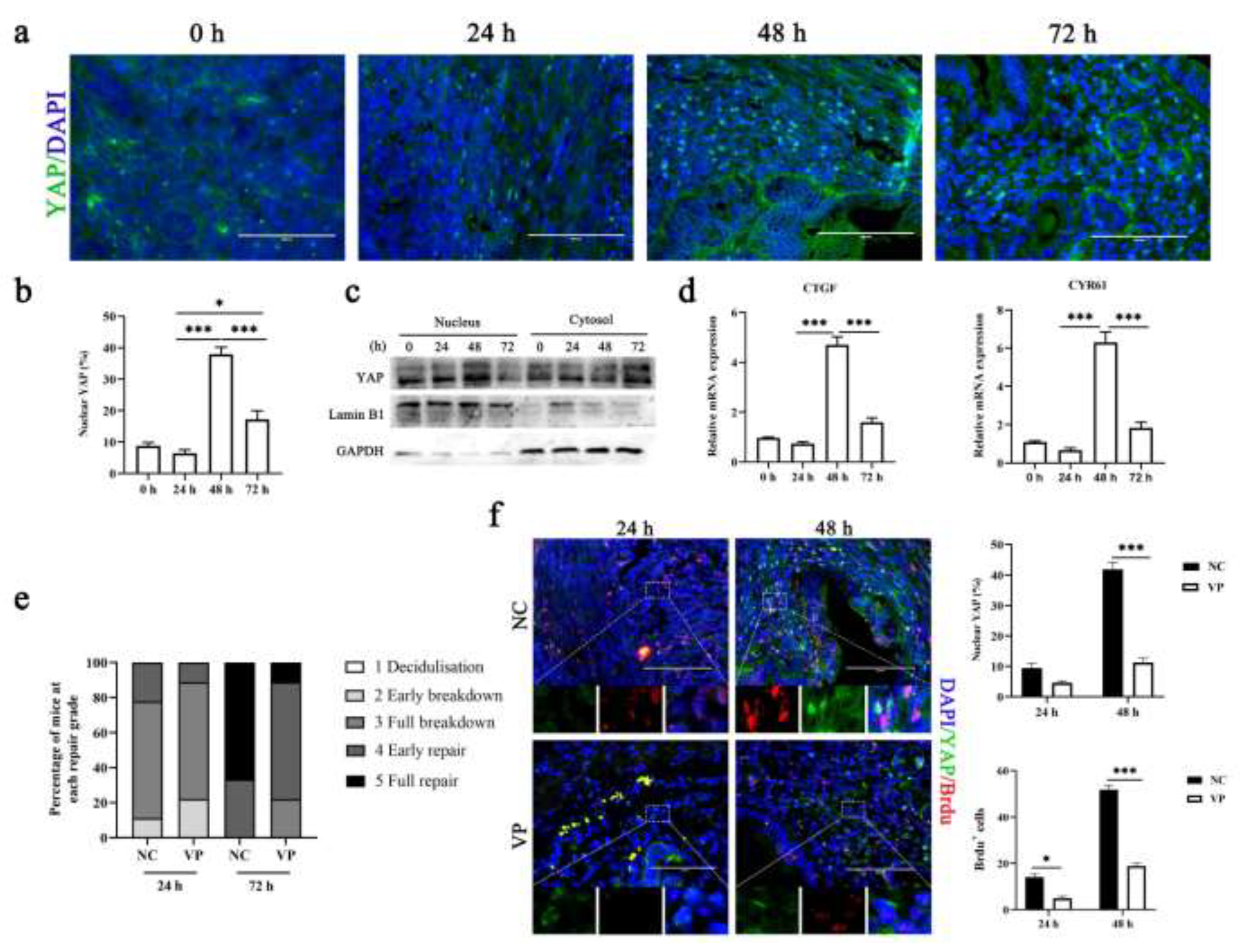 Cells 11 03162 g002 Cells 11 03162 g002