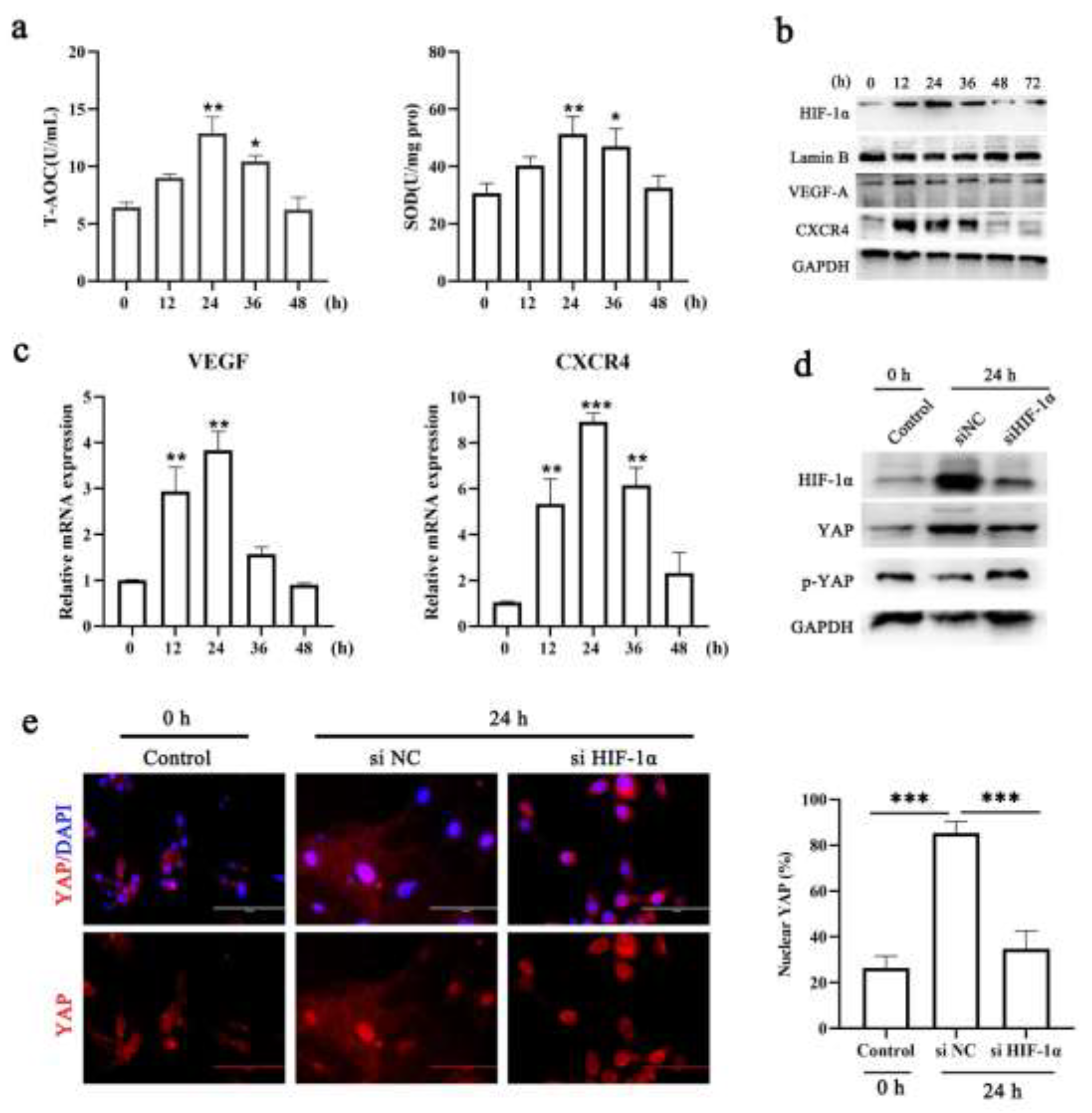 Cells 11 03162 g003 Cells 11 03162 g003