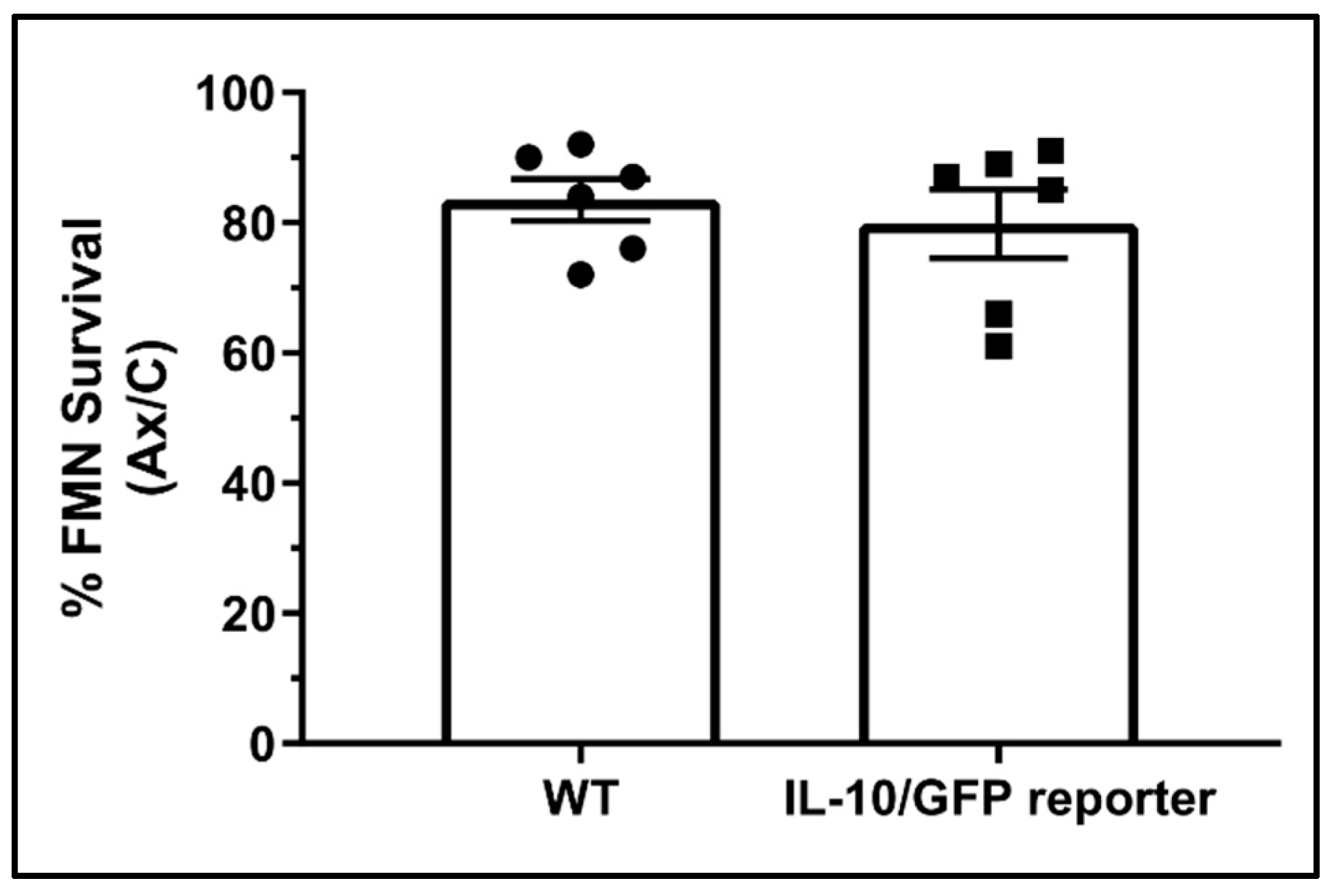 Cells 11 03167 g002 Cells 11 03167 g002