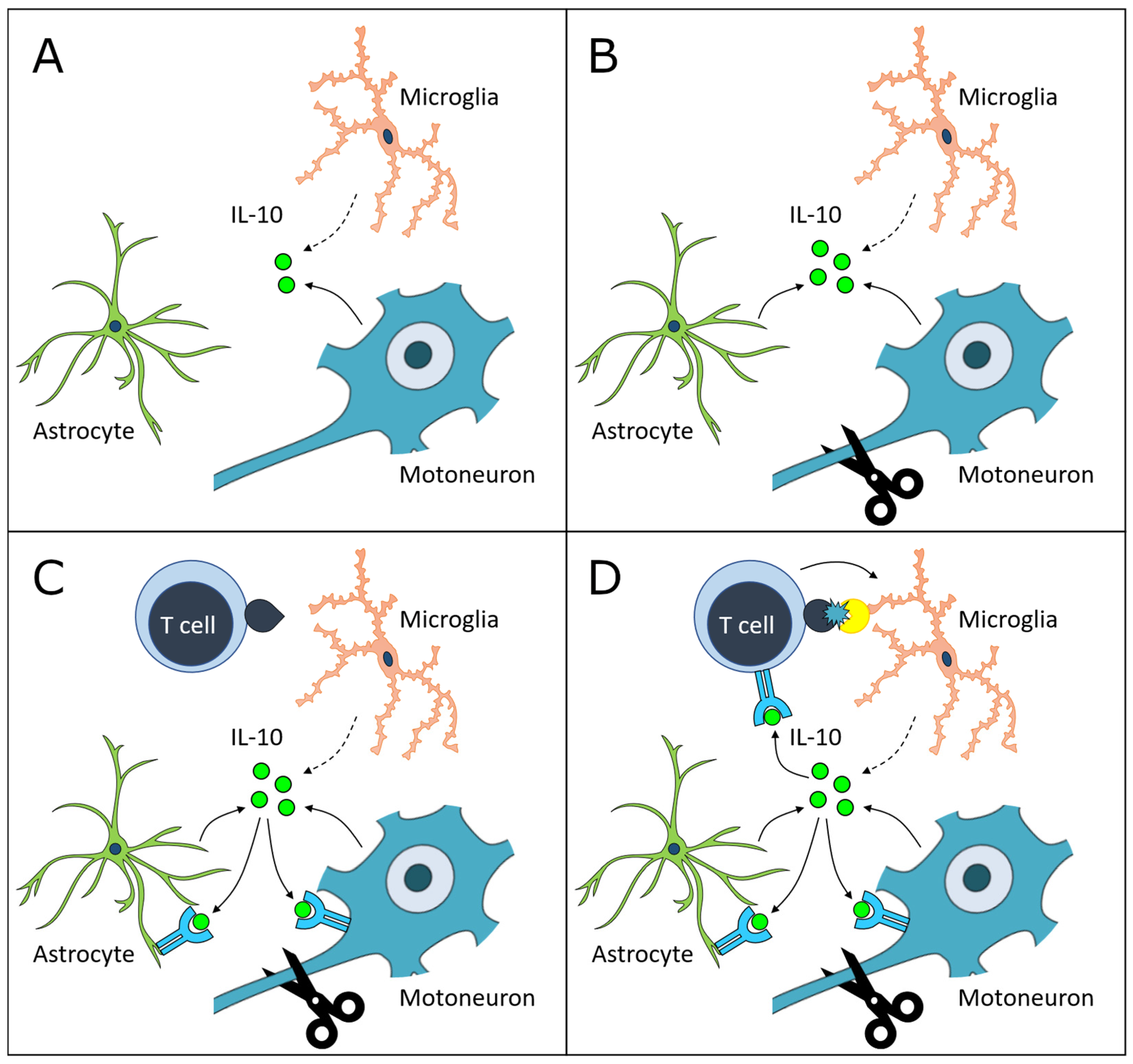 Cells 11 03167 g008 Cells 11 03167 g008