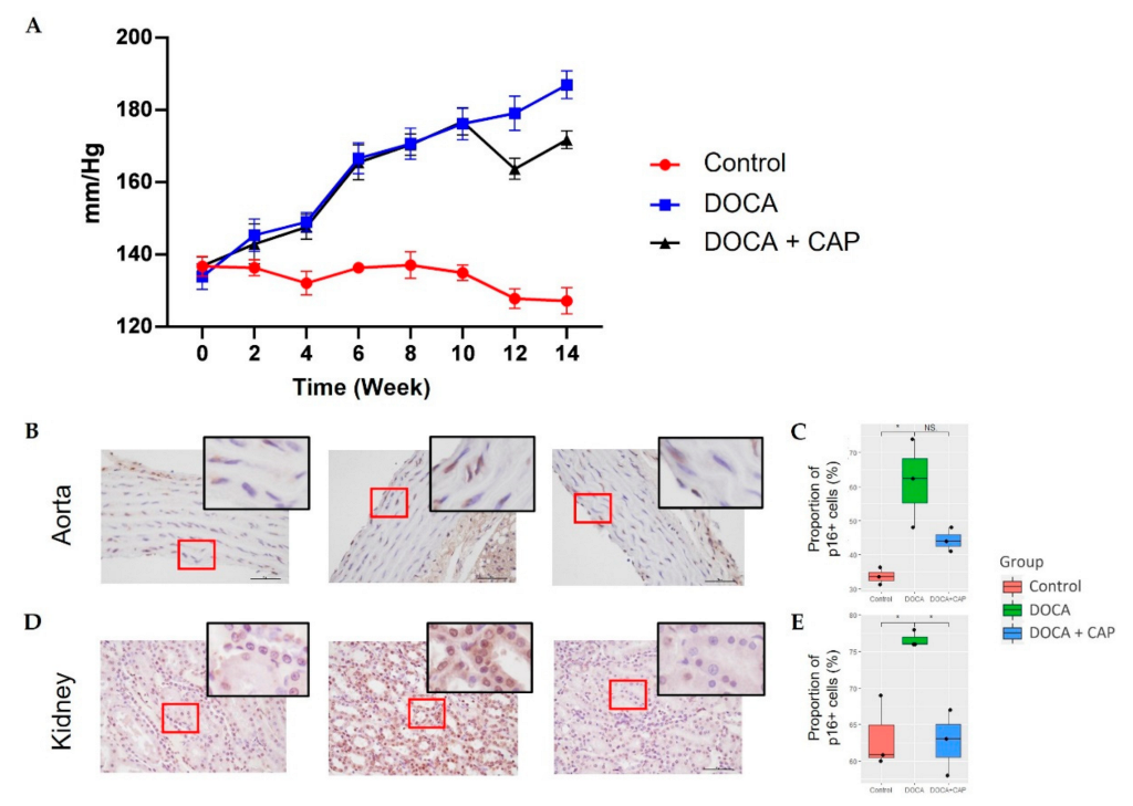 Cells 11 03173 g001 Cells 11 03173 g001