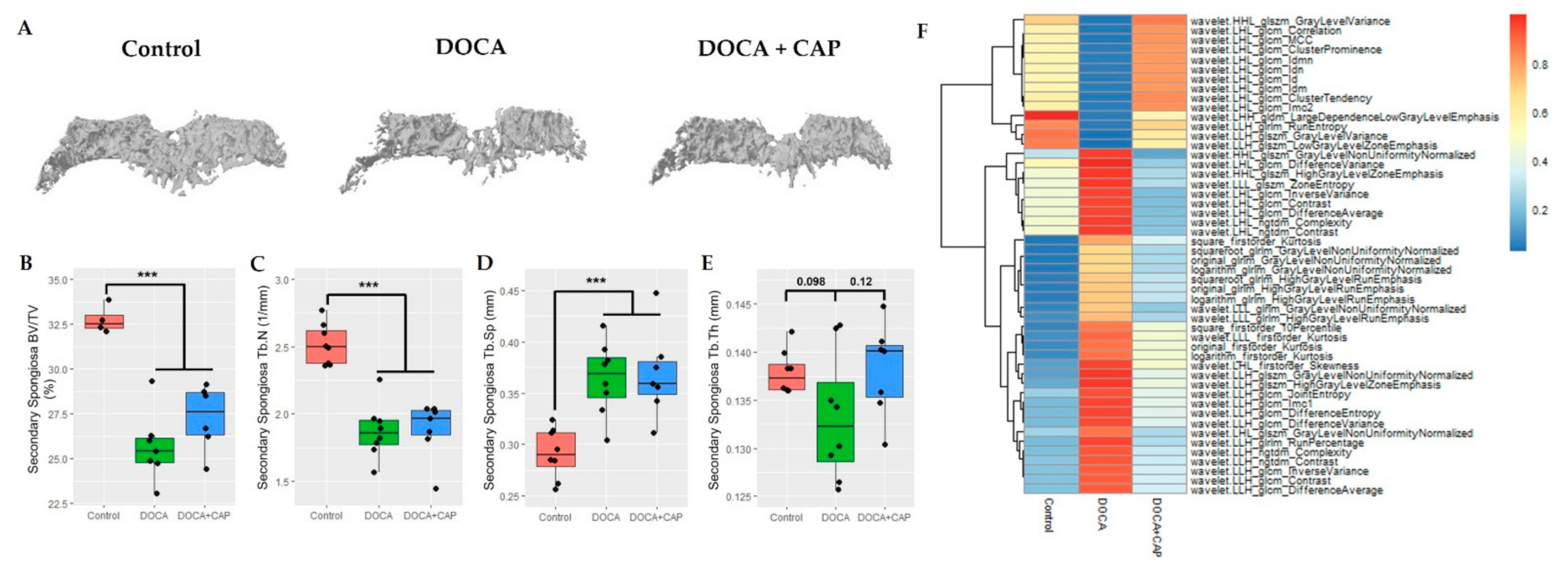 Cells 11 03173 g003 Cells 11 03173 g003
