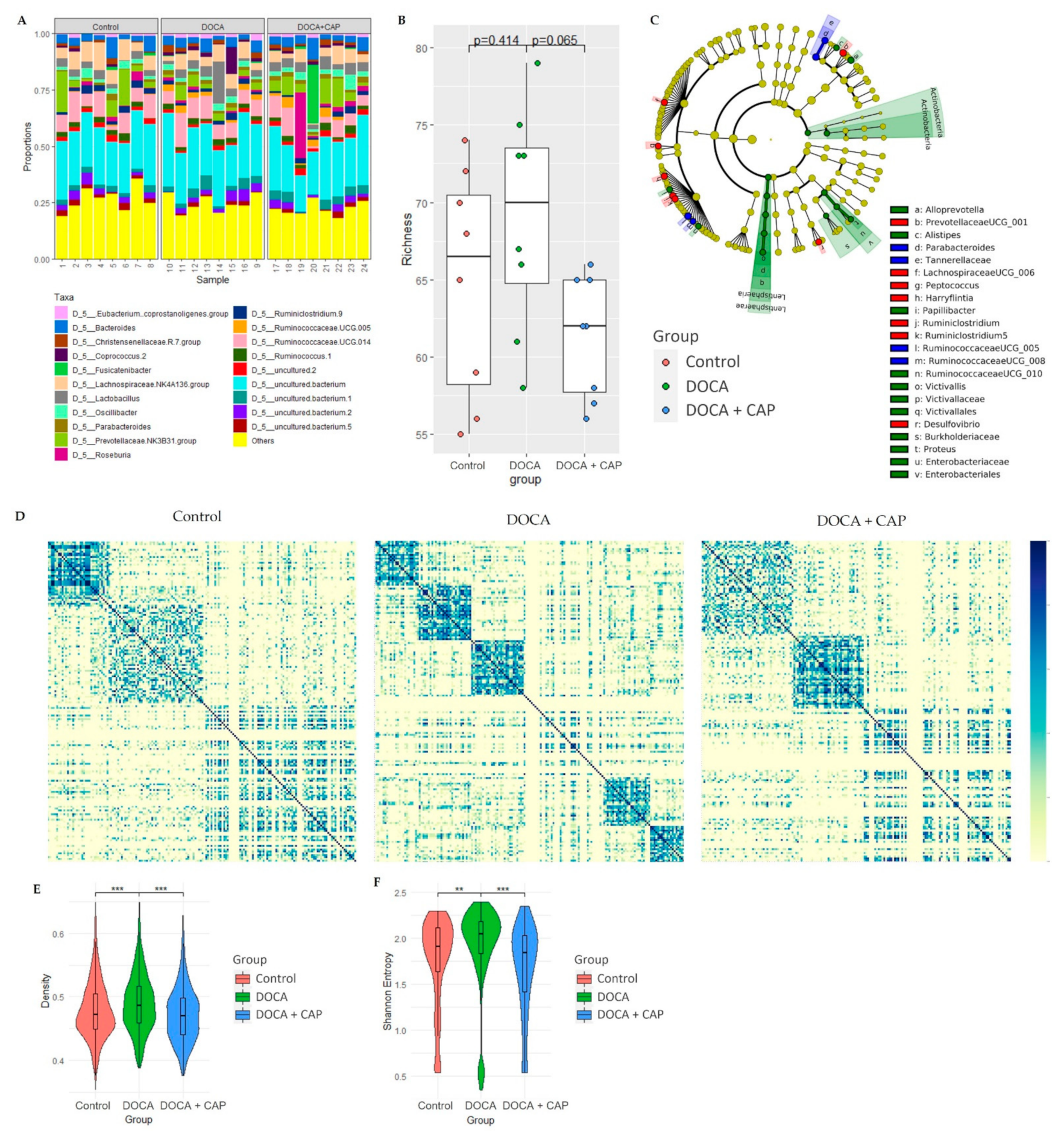Cells 11 03173 g004 Cells 11 03173 g004