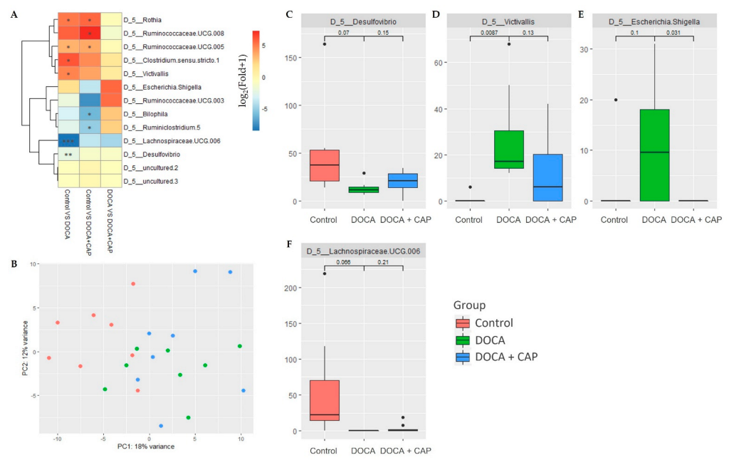 Cells 11 03173 g005 Cells 11 03173 g005