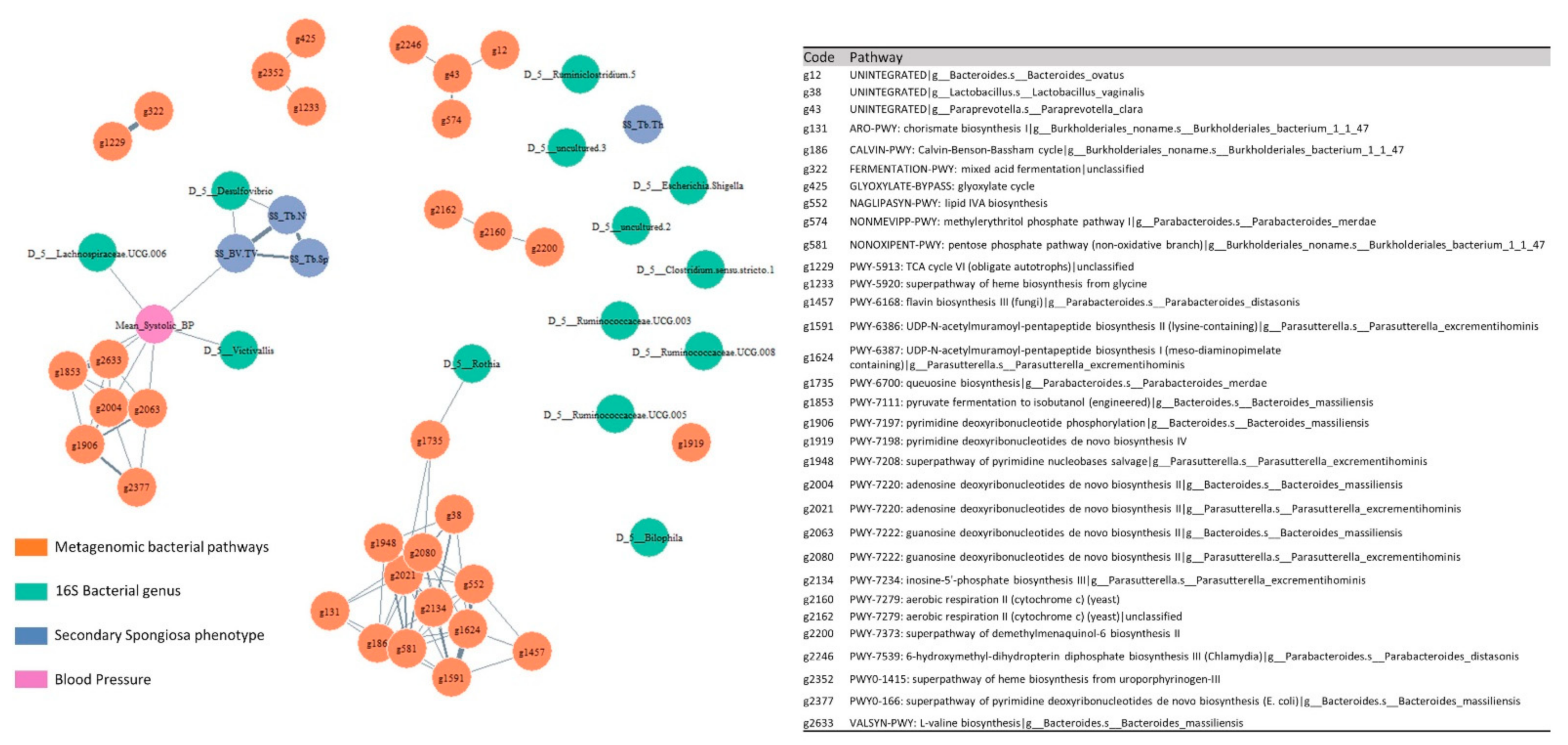 Cells 11 03173 g007 Cells 11 03173 g007