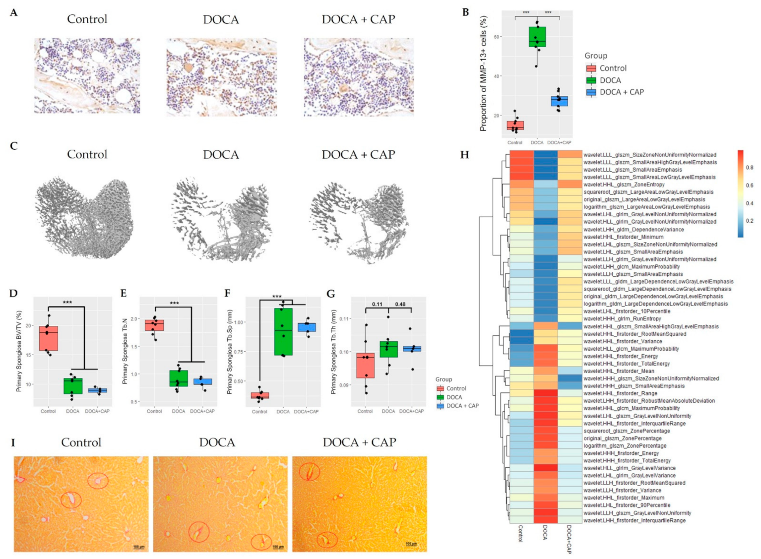 Cells 11 03173 g0a3 Cells 11 03173 g0a3