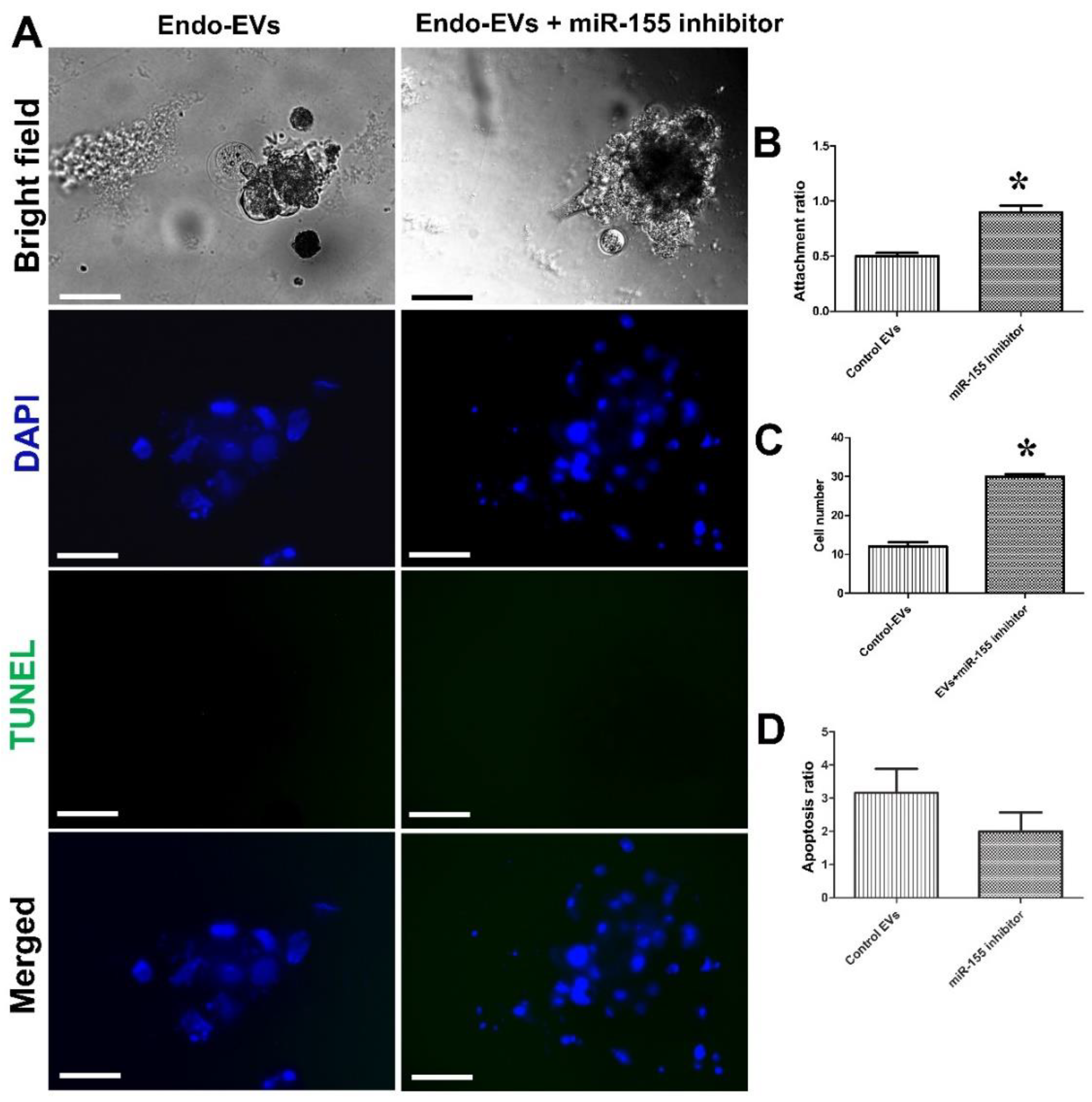 Cells 11 03178 g008 Cells 11 03178 g008
