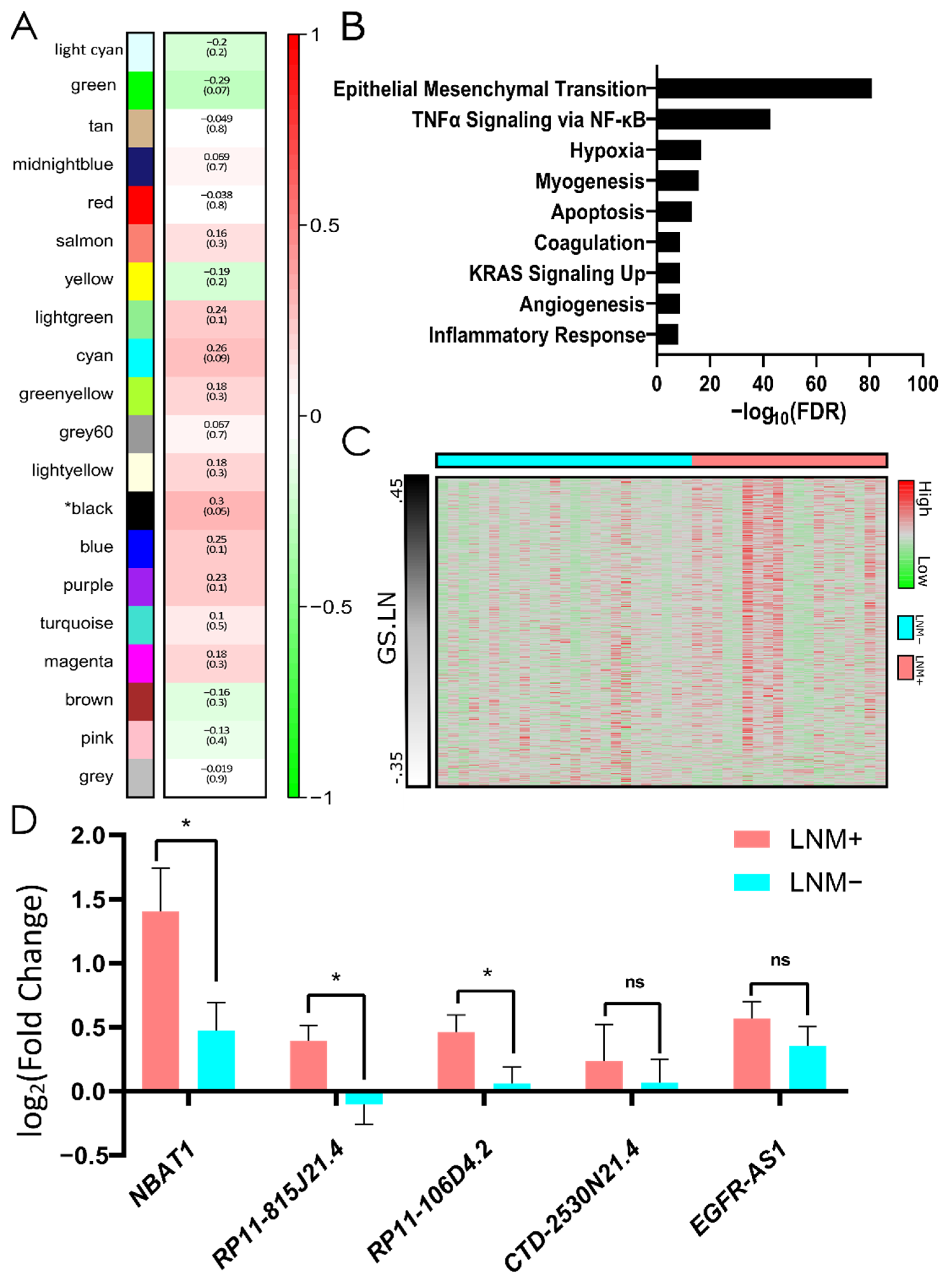 Cells 11 03181 g002 Cells 11 03181 g002