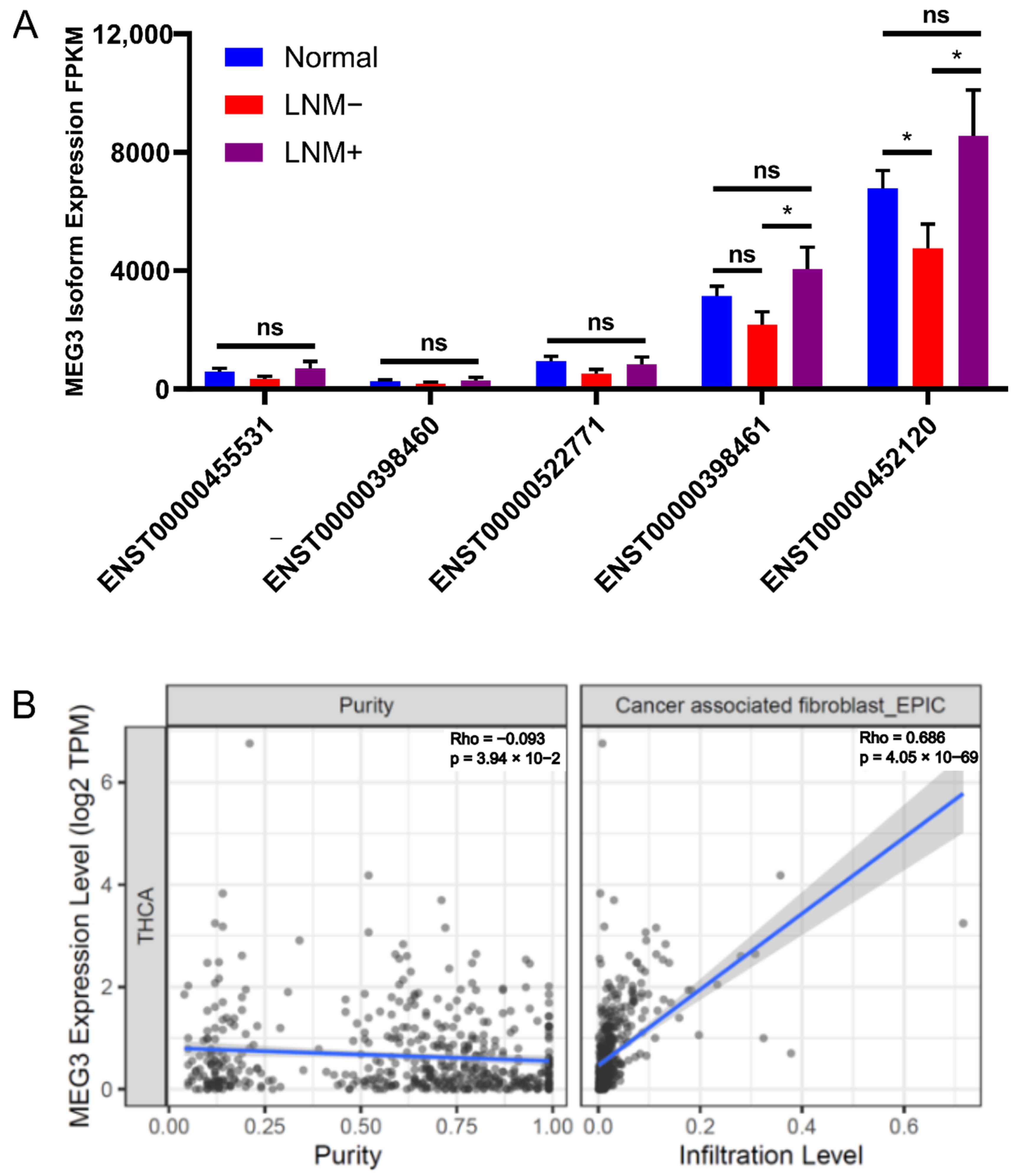 Cells 11 03181 g004 Cells 11 03181 g004