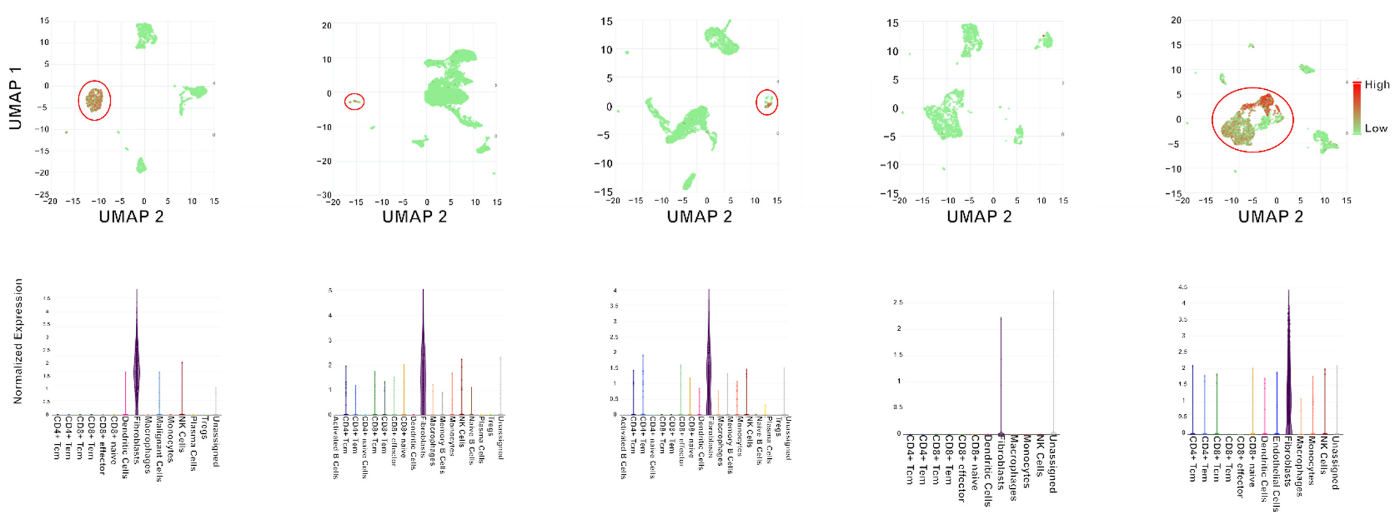 Cells 11 03181 g005 Cells 11 03181 g005