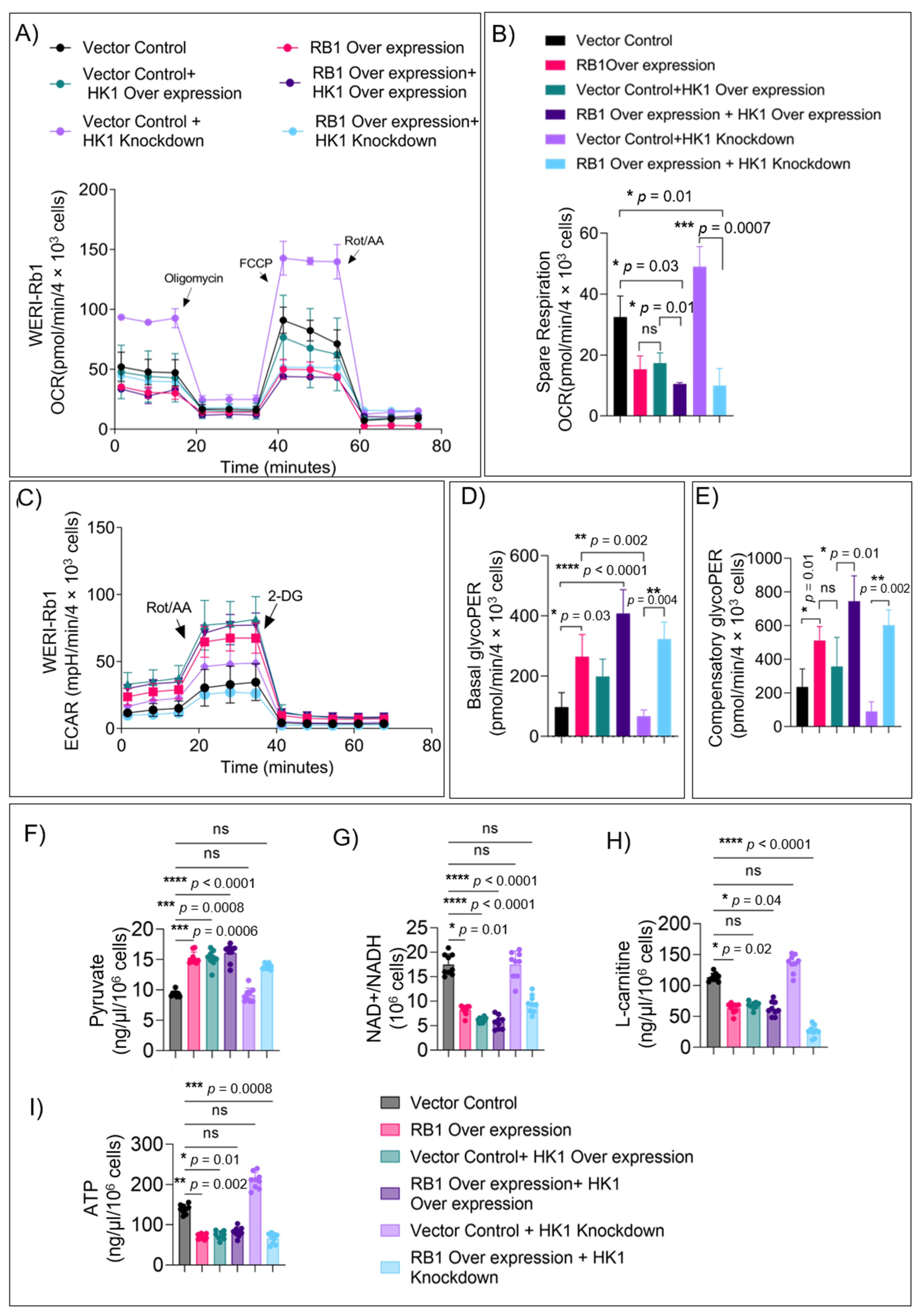 Cells 11 03182 g004 Cells 11 03182 g004