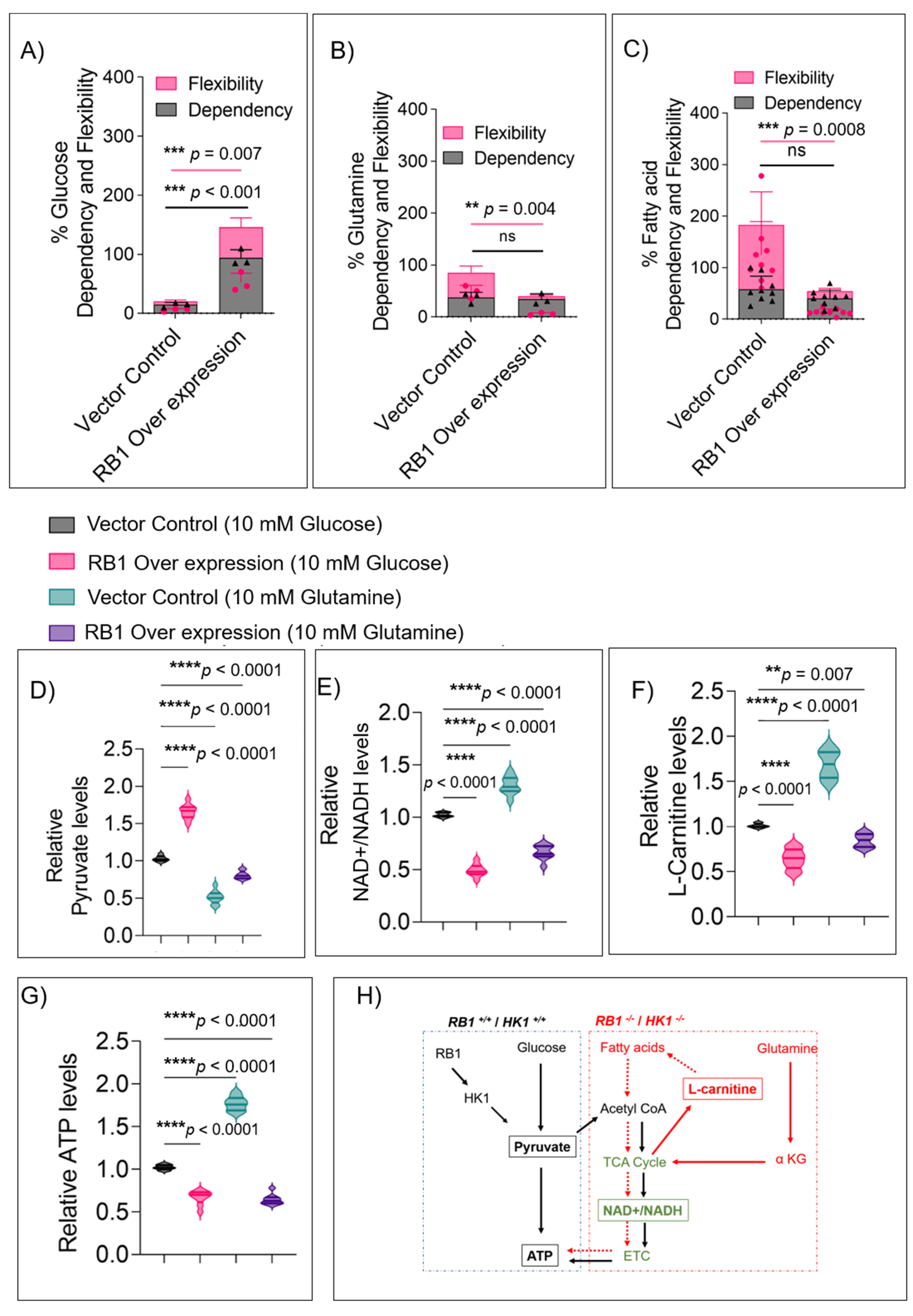 Cells 11 03182 g005 Cells 11 03182 g005