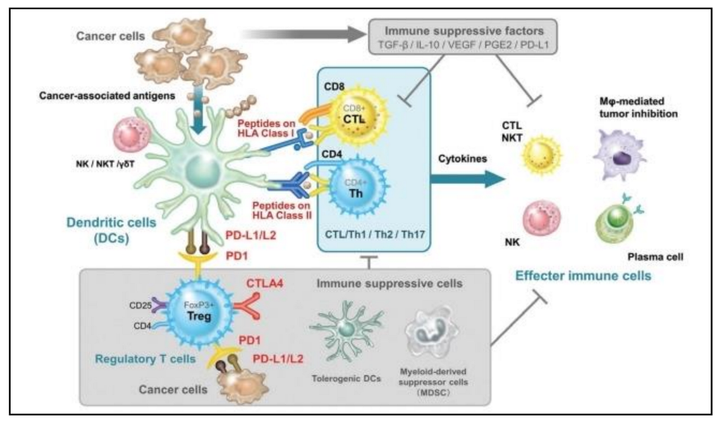 Cells 11 03183 g002 Cells 11 03183 g002
