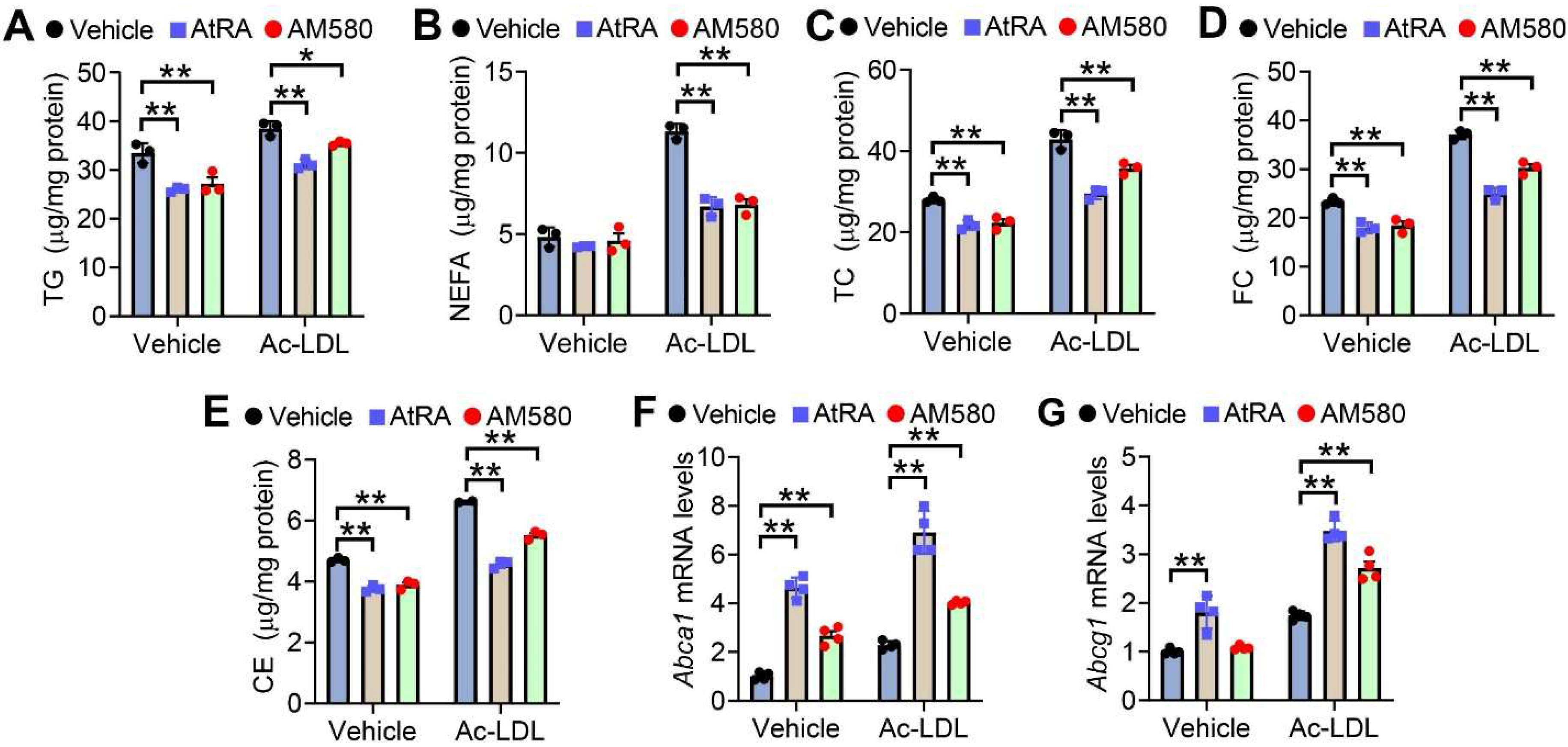 Cells 11 03186 g001 Cells 11 03186 g001