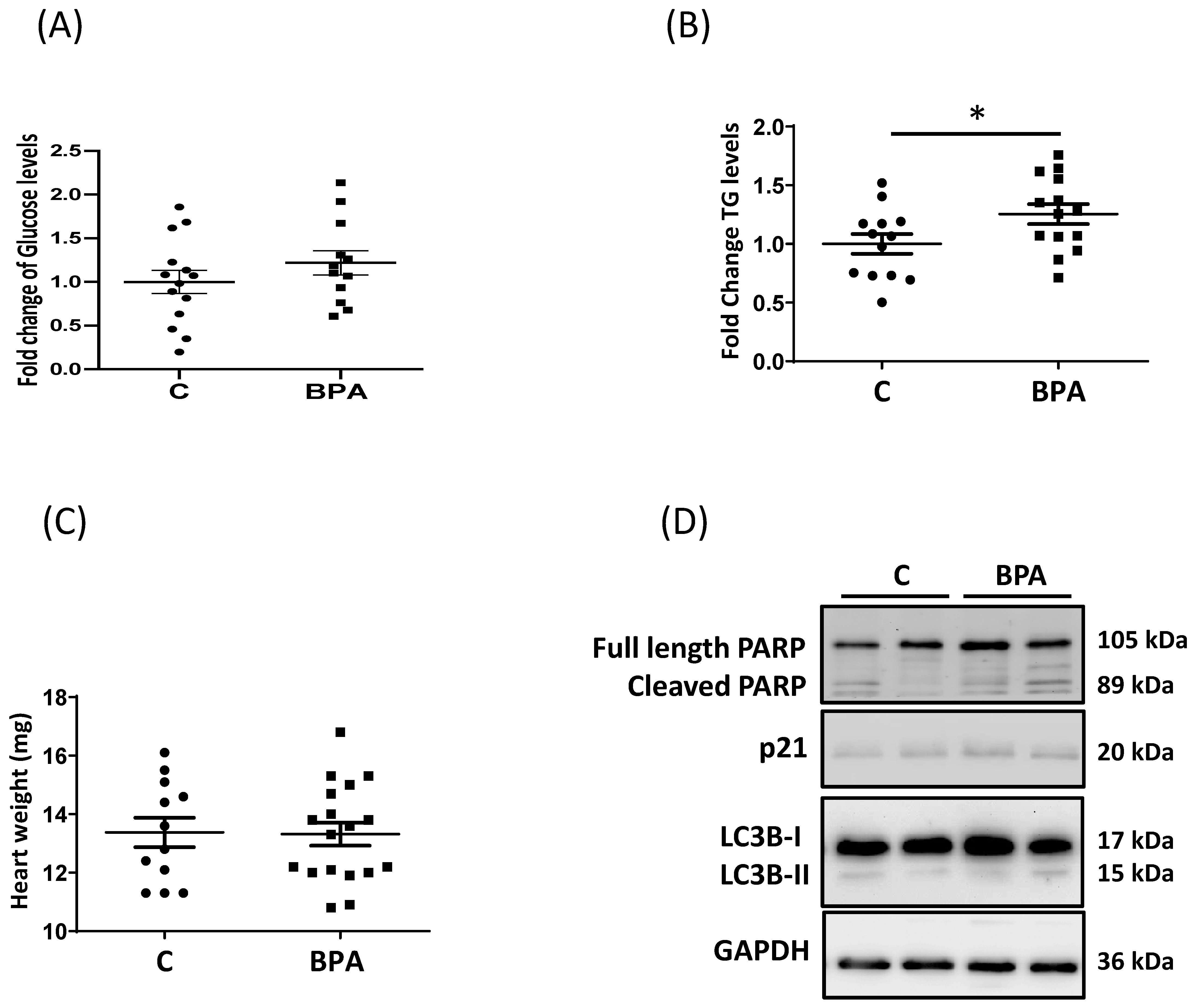 Cells 11 03195 g002 Cells 11 03195 g002
