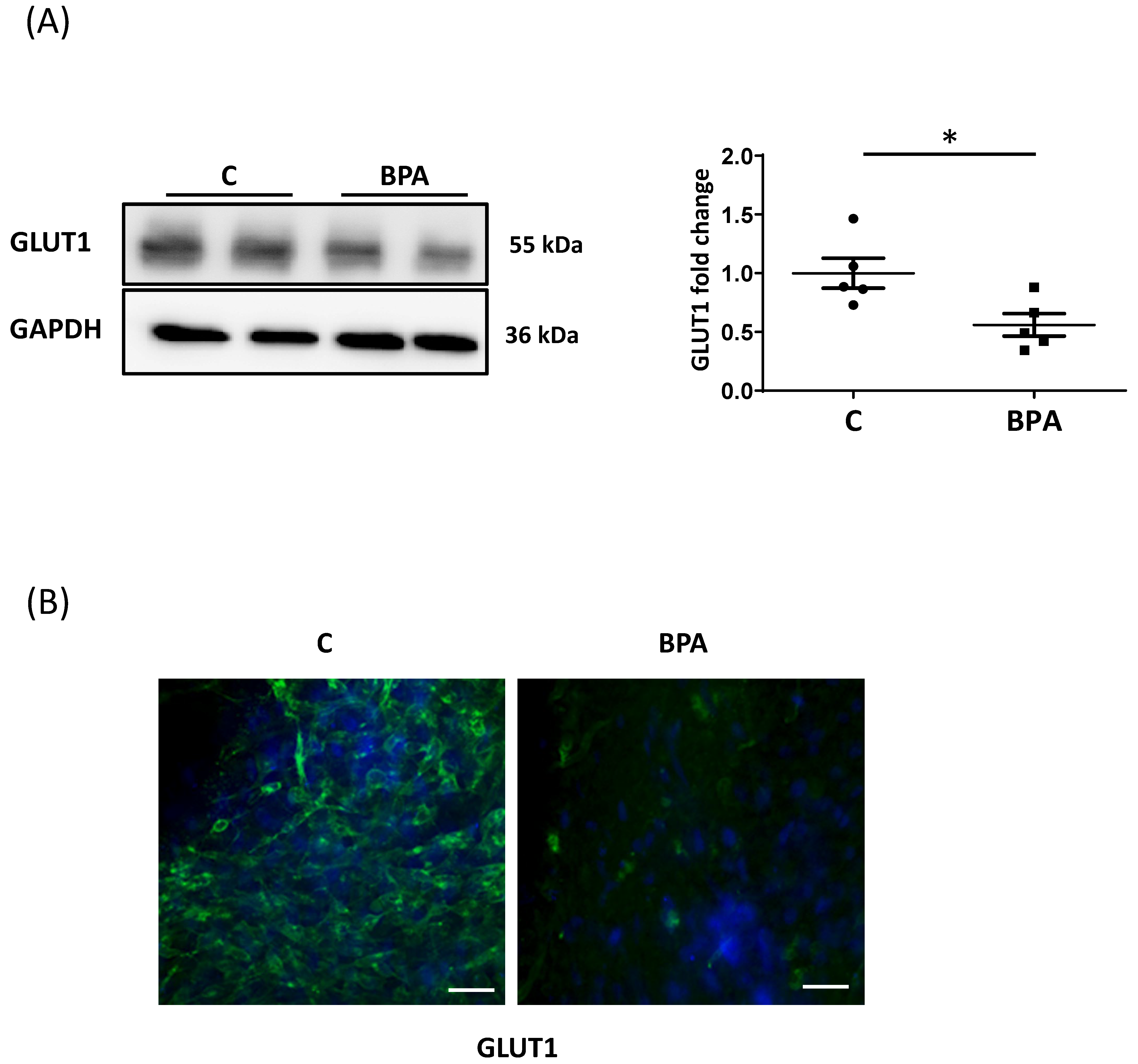 Cells 11 03195 g003 Cells 11 03195 g003