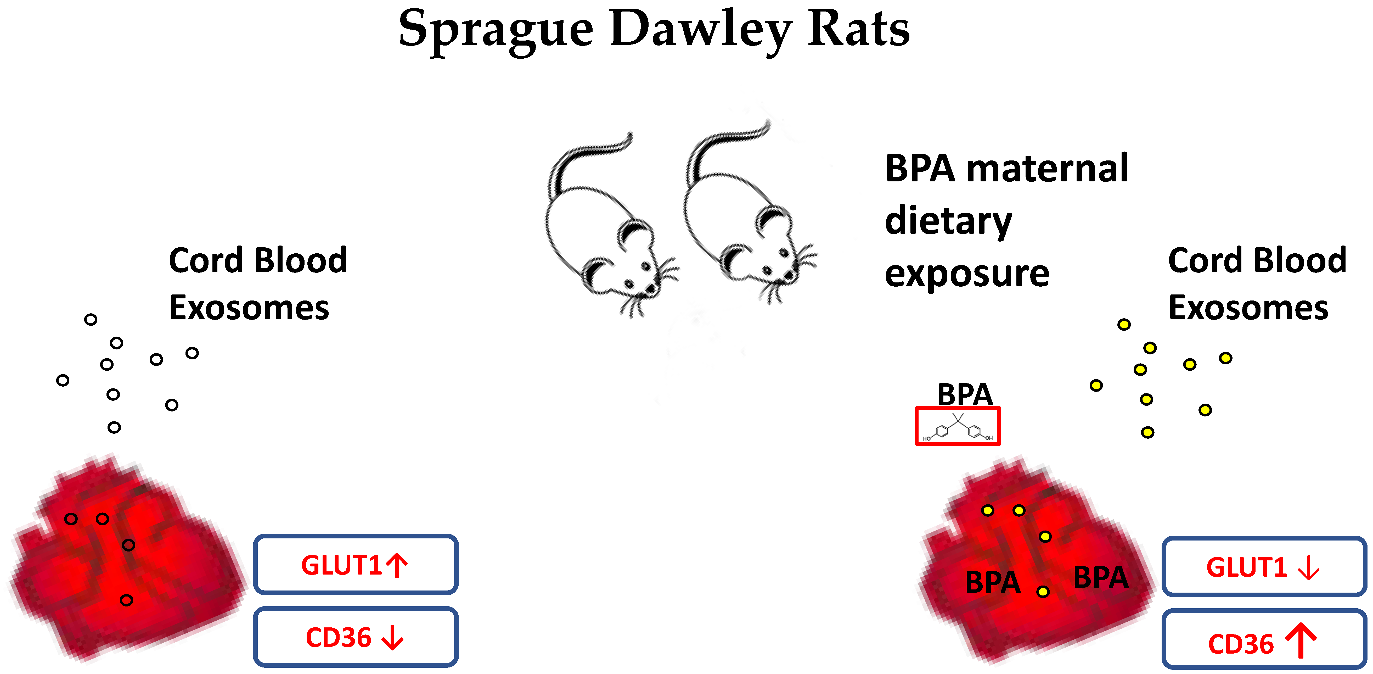 Cells 11 03195 g005 Cells 11 03195 g005