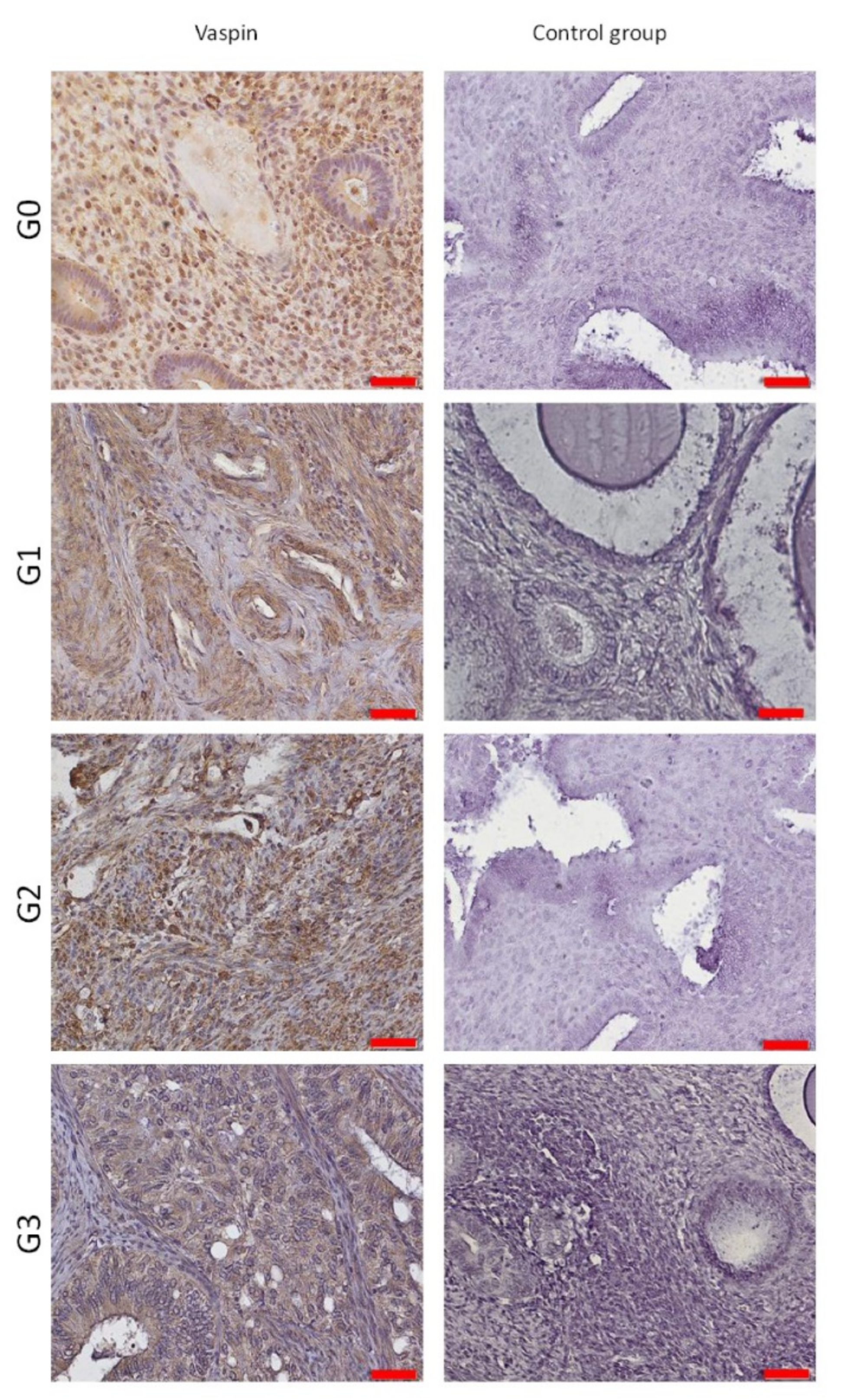 Cells 11 03196 g005 Cells 11 03196 g005