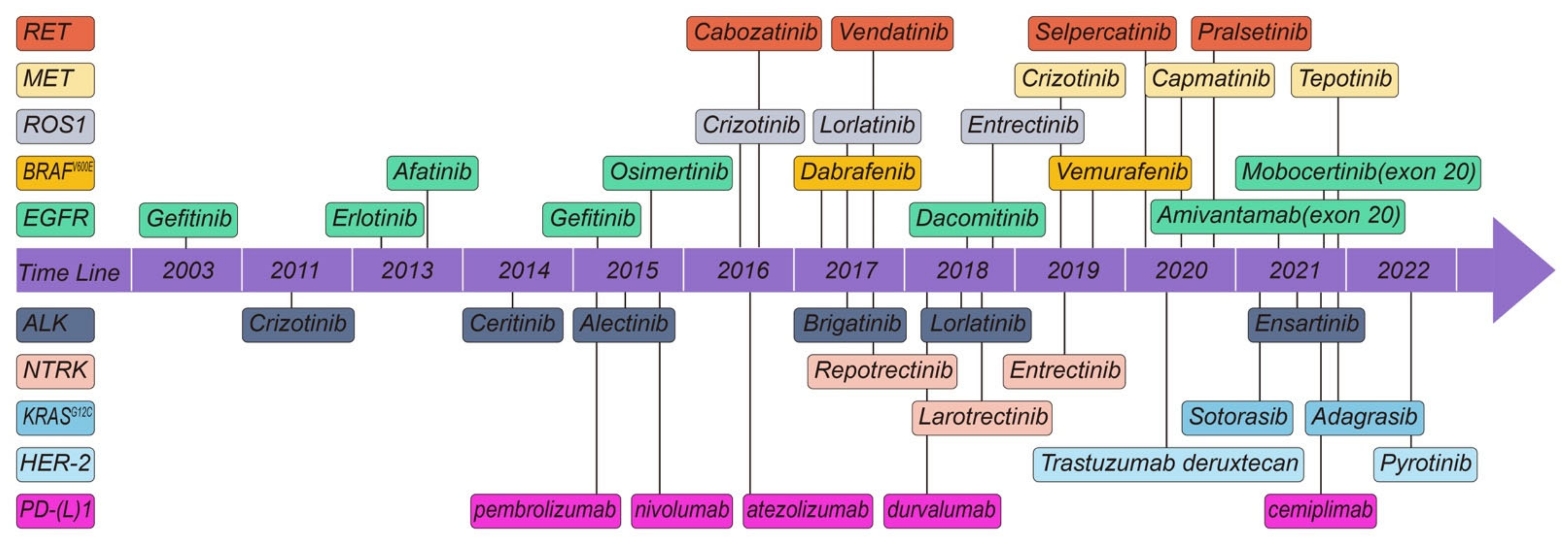 Cells 11 03200 g002 Cells 11 03200 g002