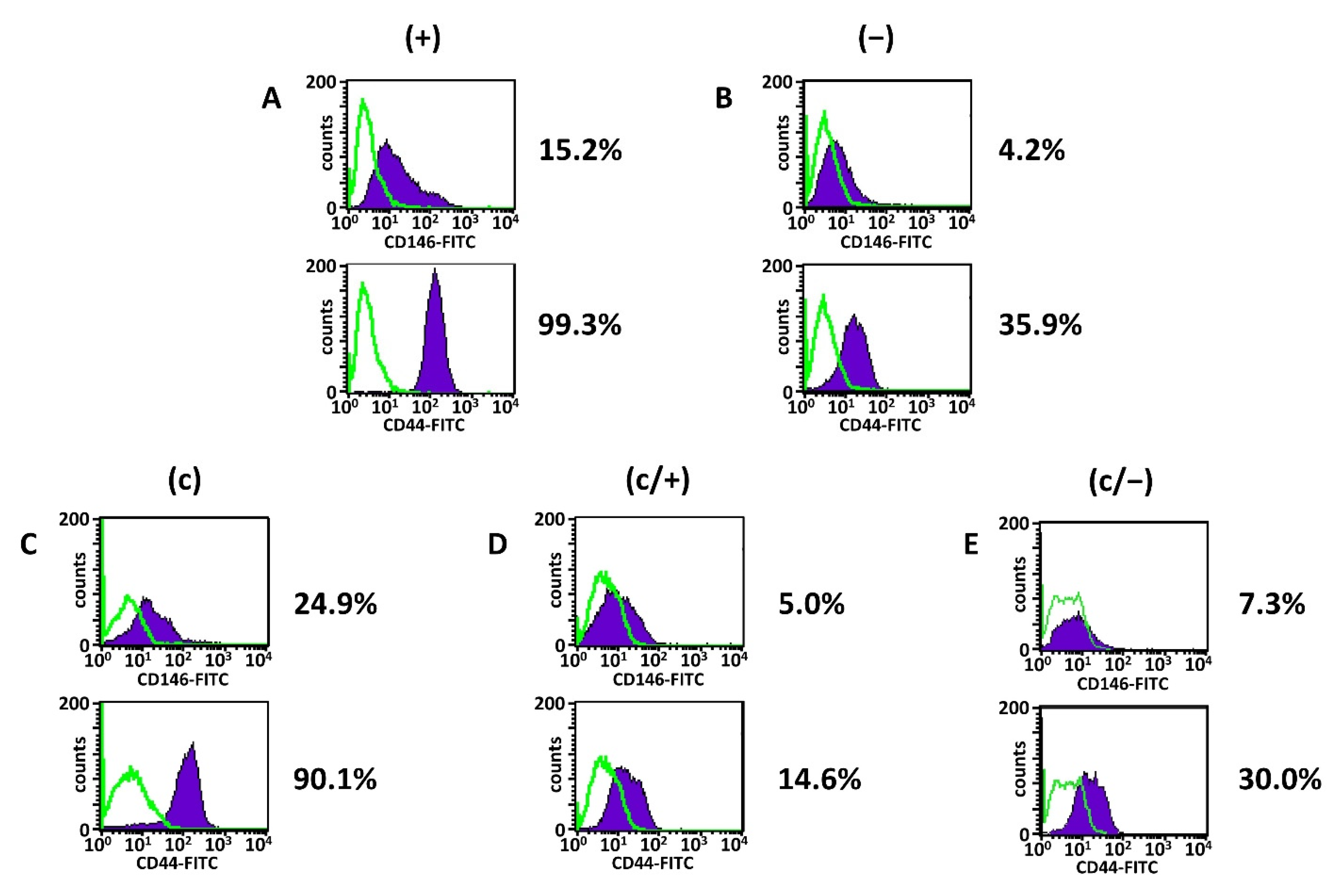 Cells 11 03204 g003 Cells 11 03204 g003