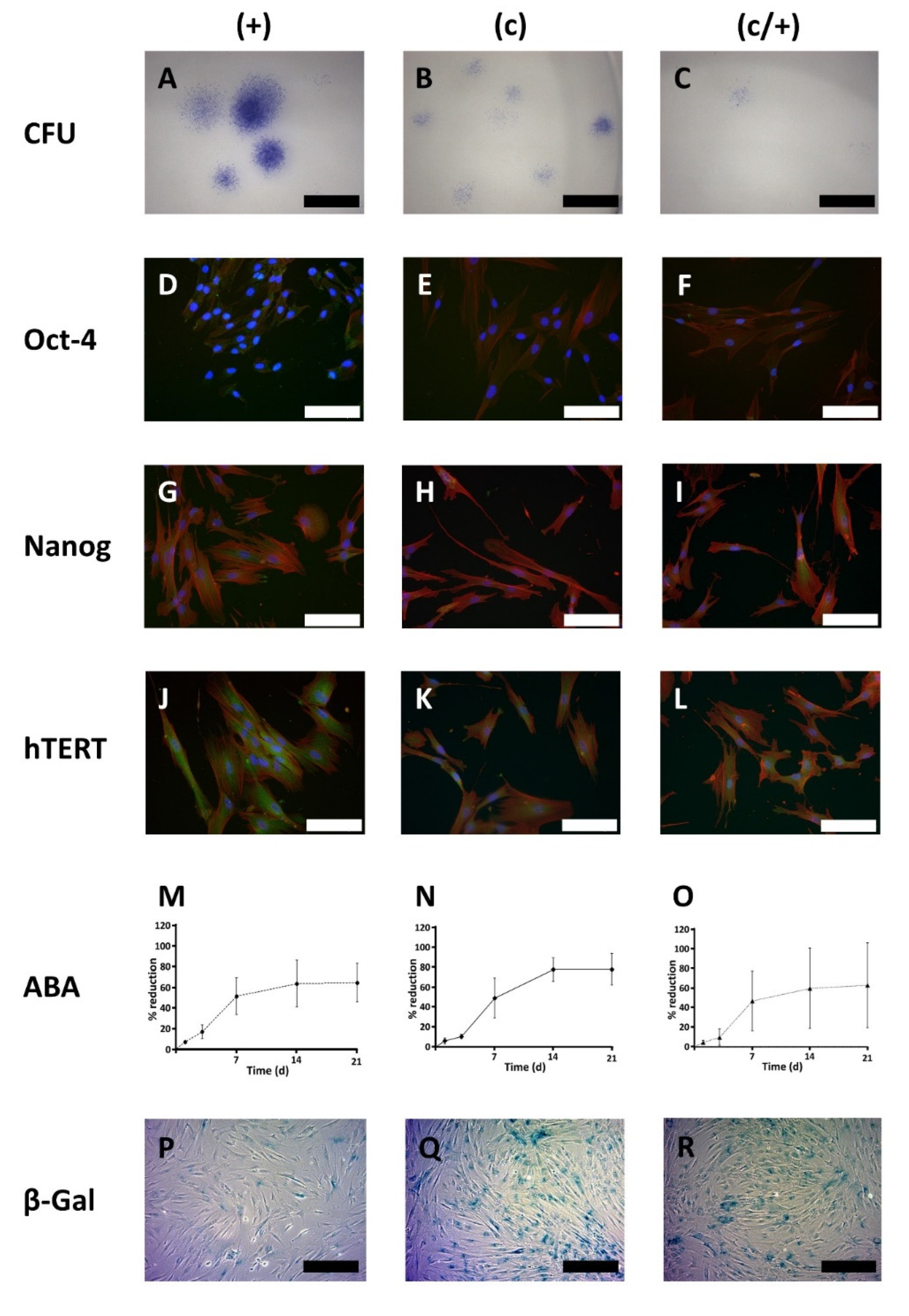 Cells 11 03204 g004 Cells 11 03204 g004