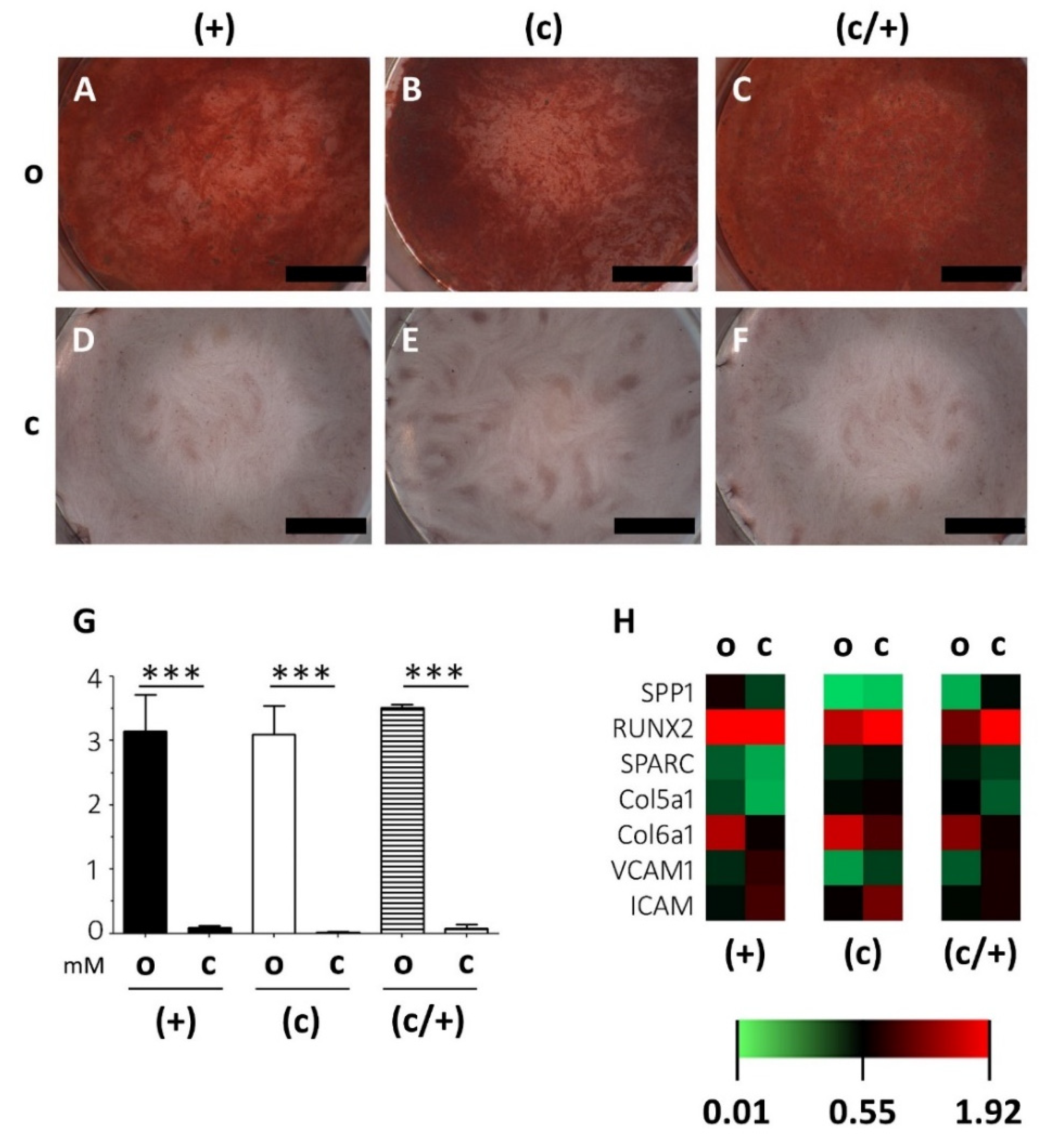 Cells 11 03204 g005 Cells 11 03204 g005
