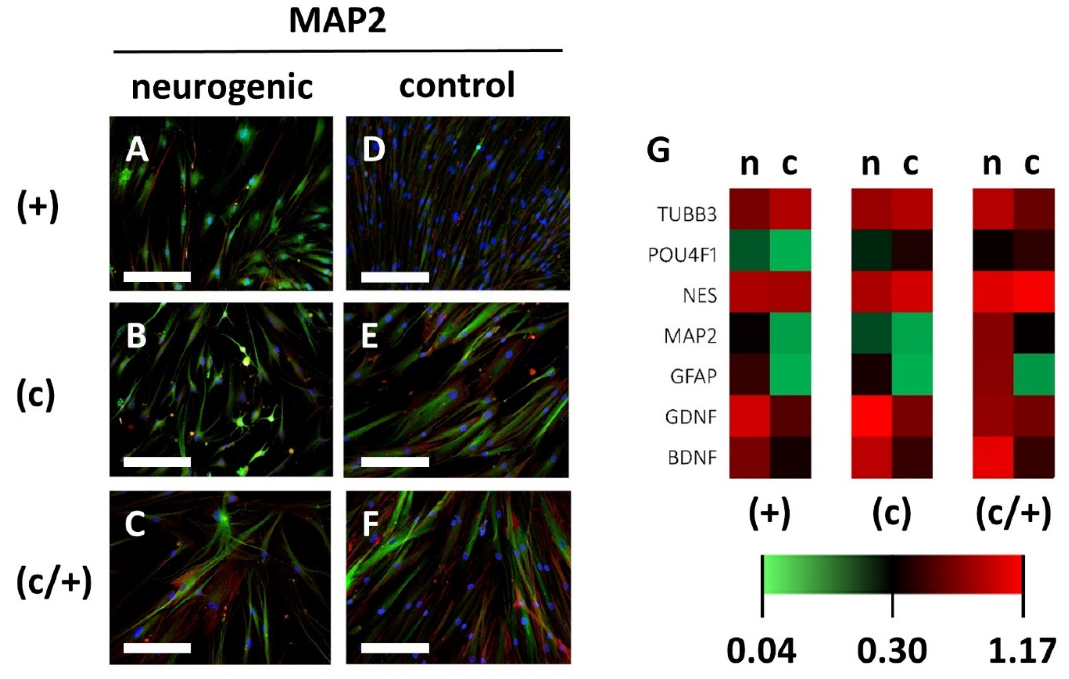 Cells 11 03204 g007 Cells 11 03204 g007