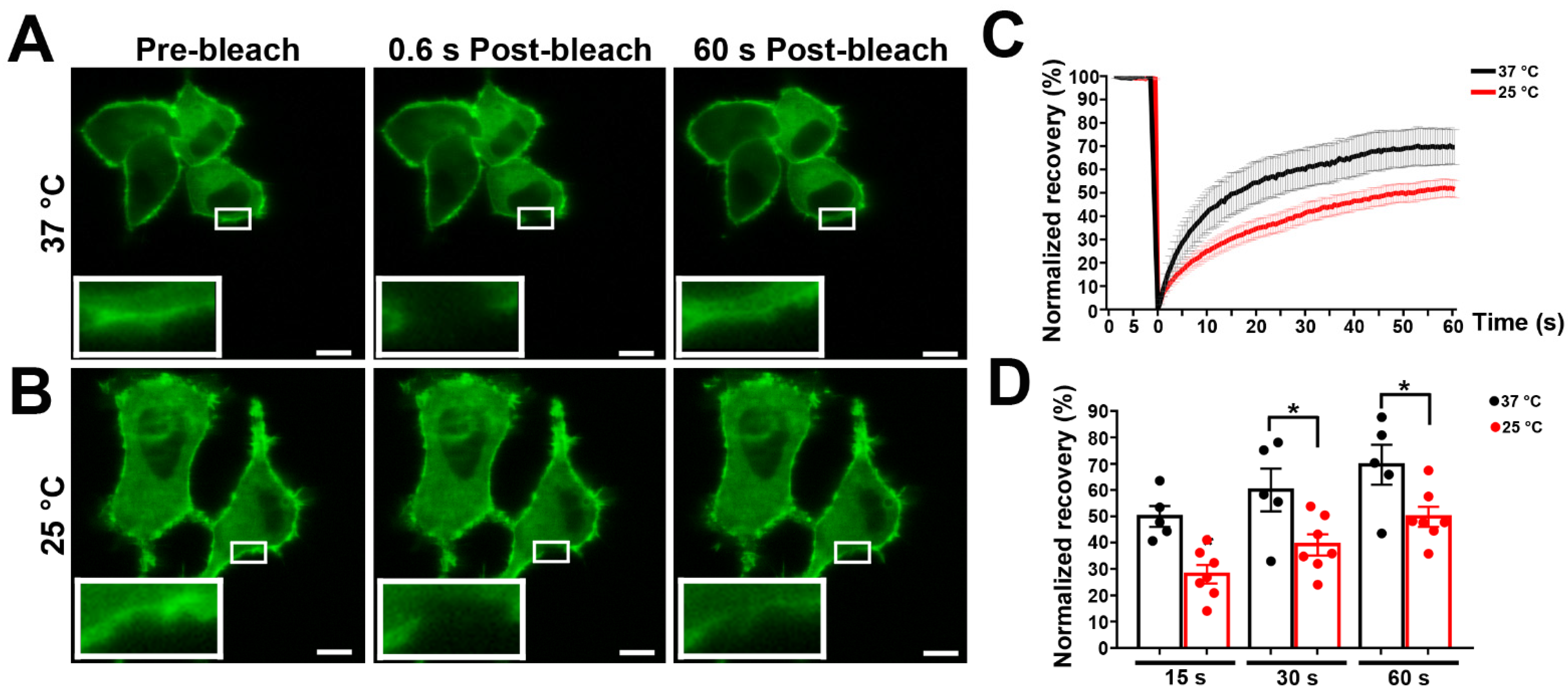 Cells 11 03219 g002 Cells 11 03219 g002