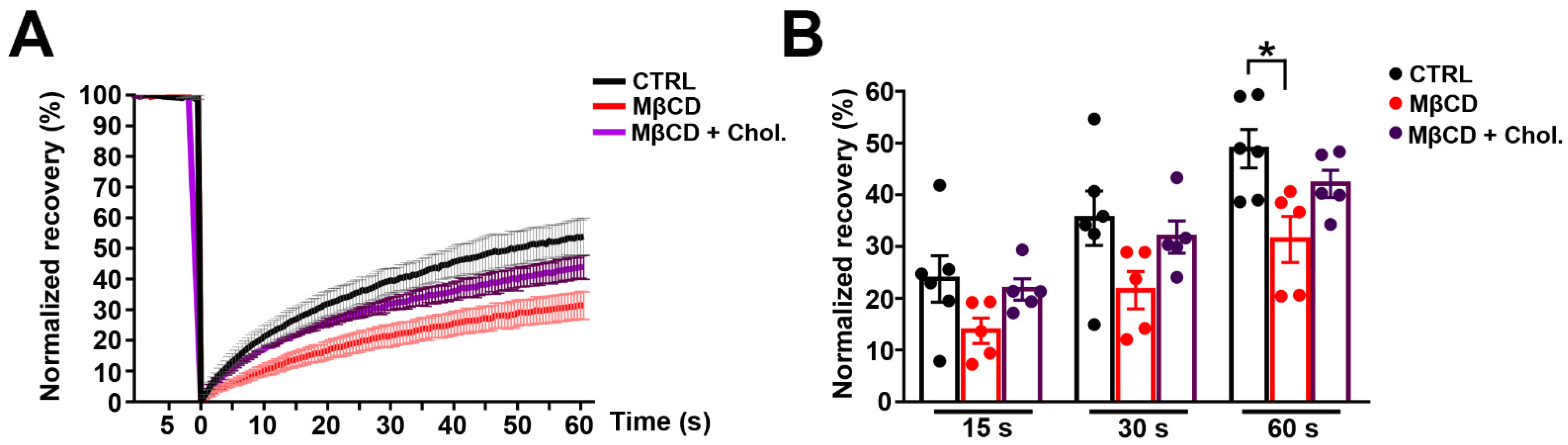 Cells 11 03219 g005 Cells 11 03219 g005