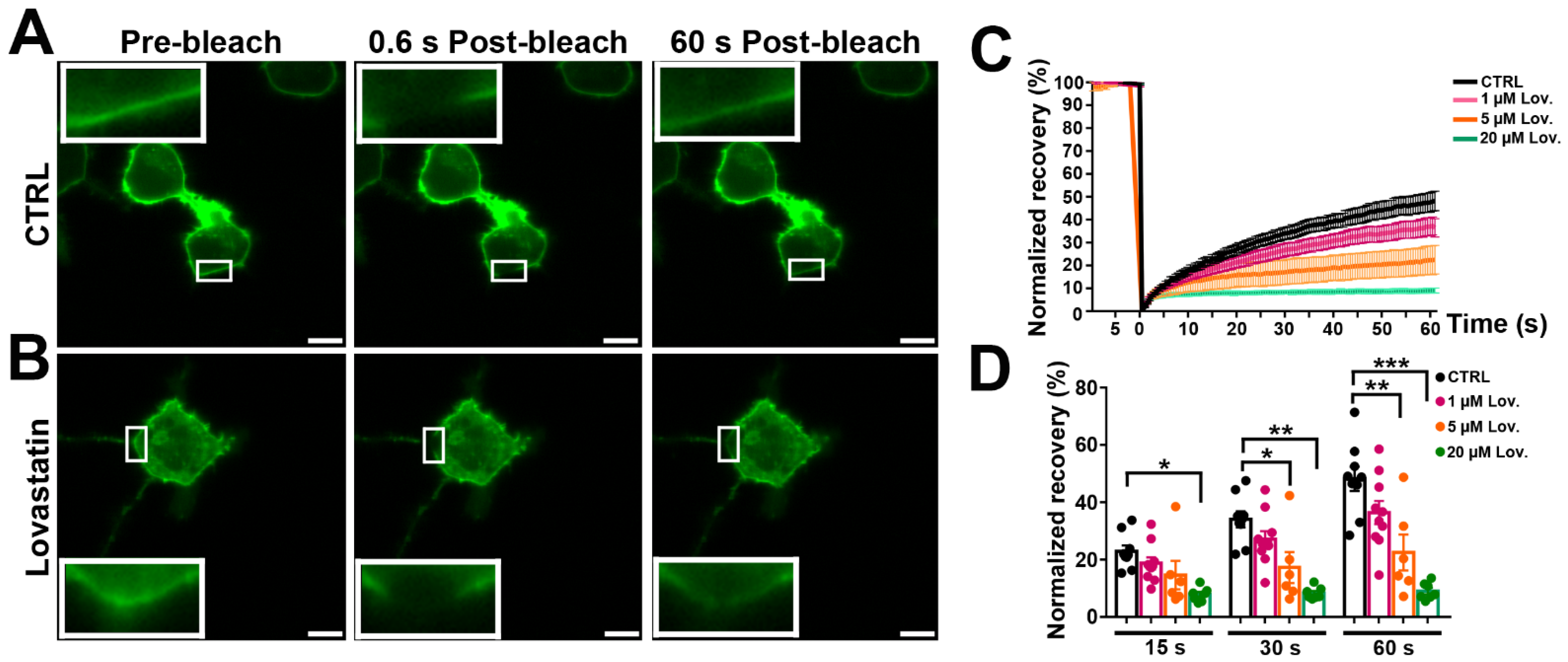 Cells 11 03219 g006 Cells 11 03219 g006