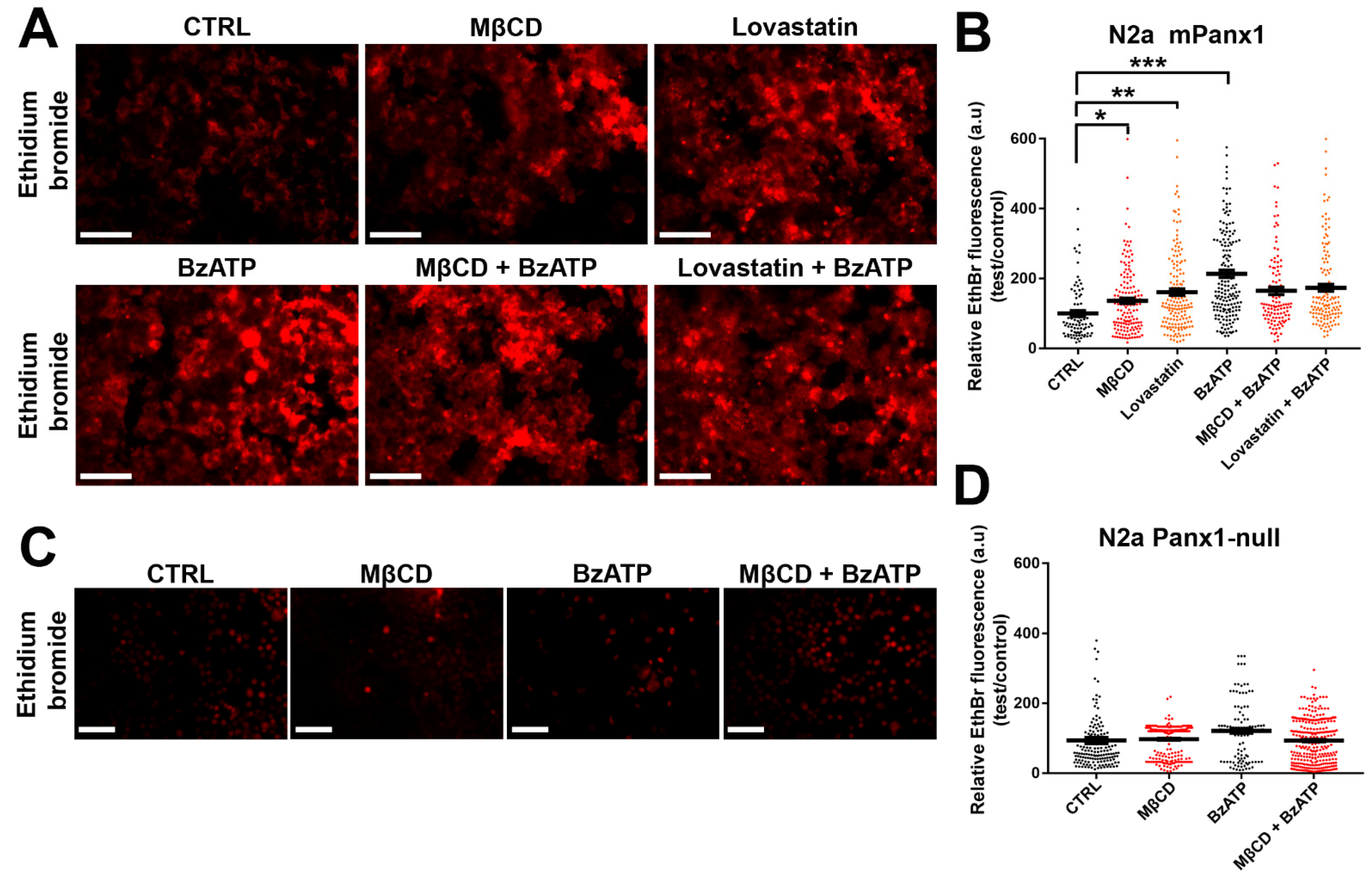 Cells 11 03219 g007 Cells 11 03219 g007