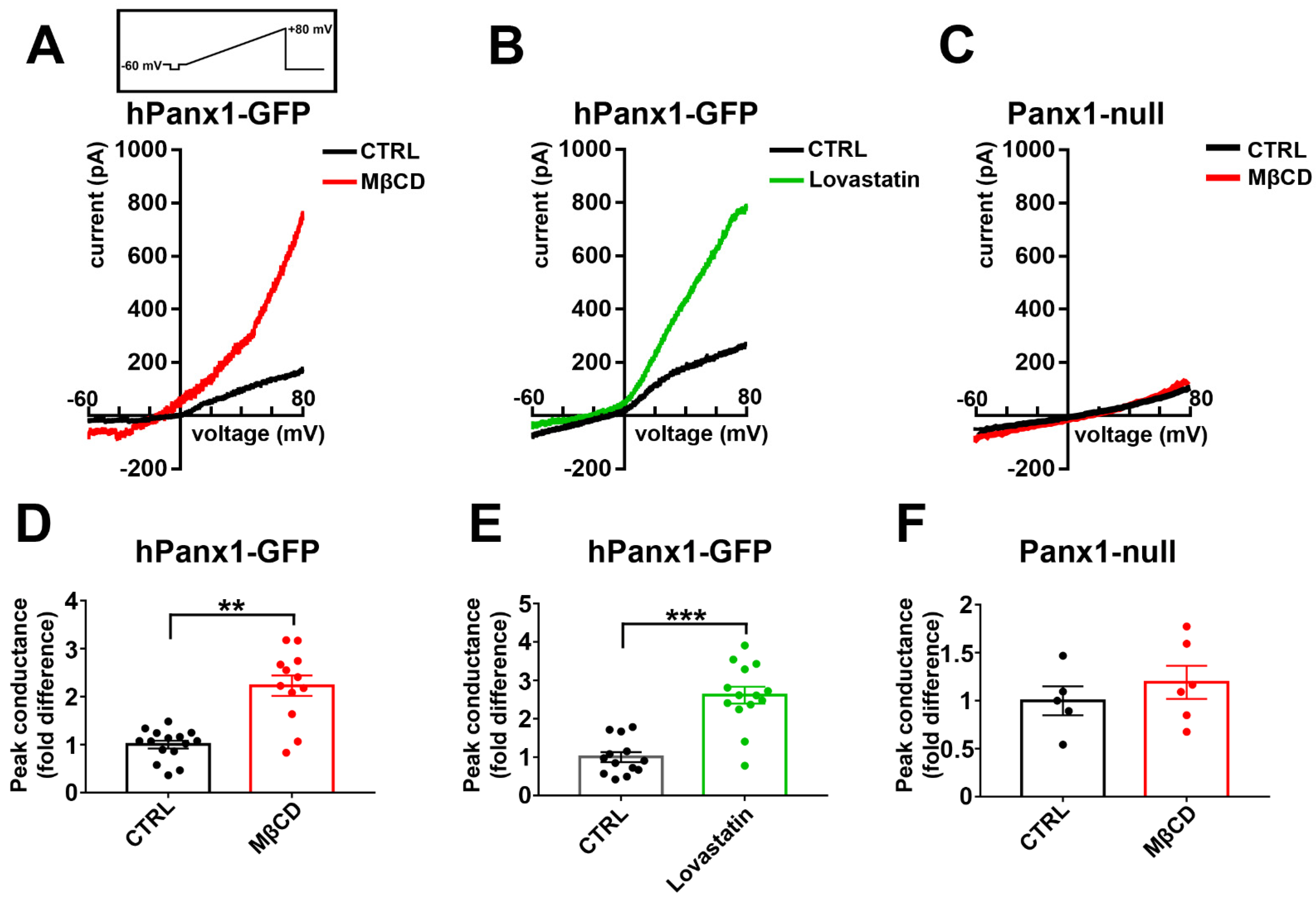 Cells 11 03219 g009 Cells 11 03219 g009