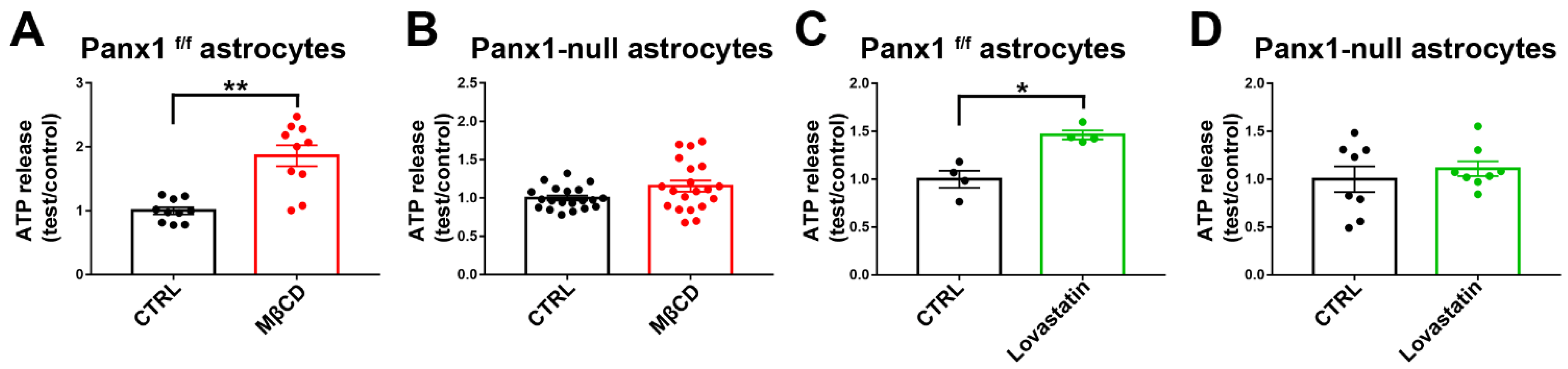 Cells 11 03219 g010 Cells 11 03219 g010