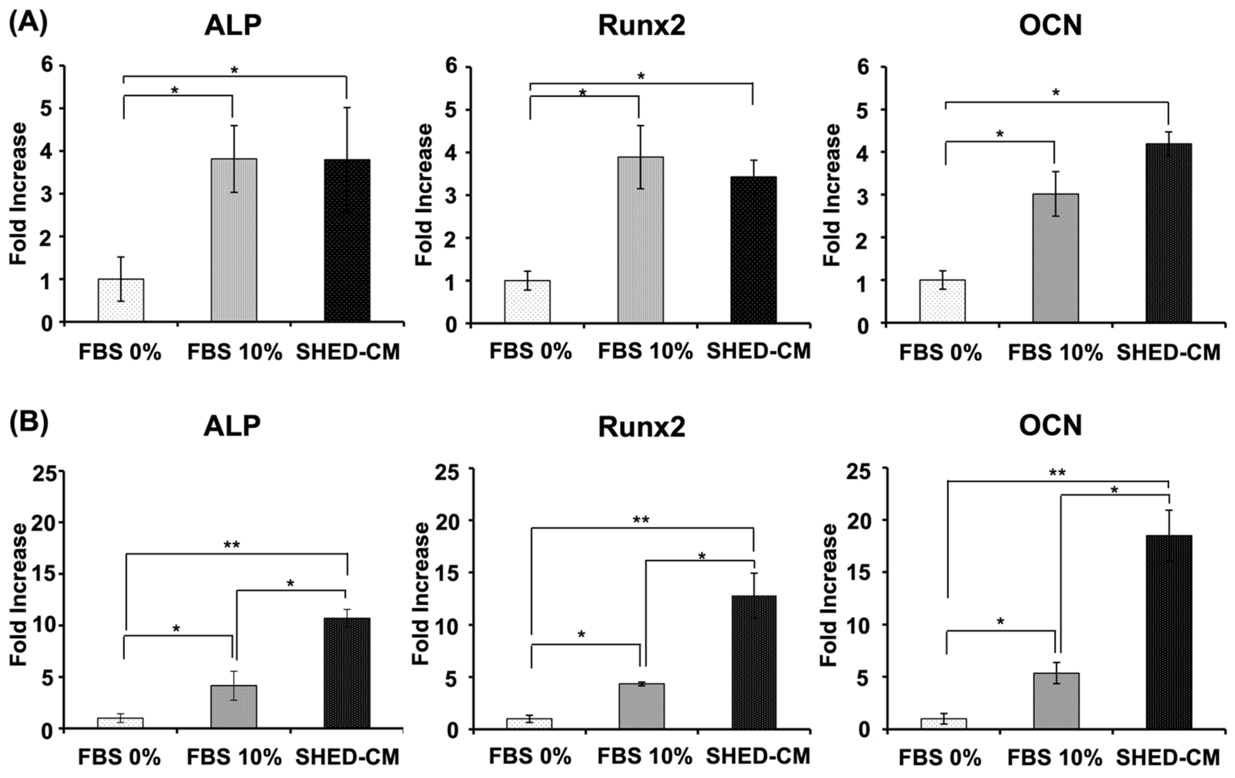 Cells 11 03222 g004 Cells 11 03222 g004