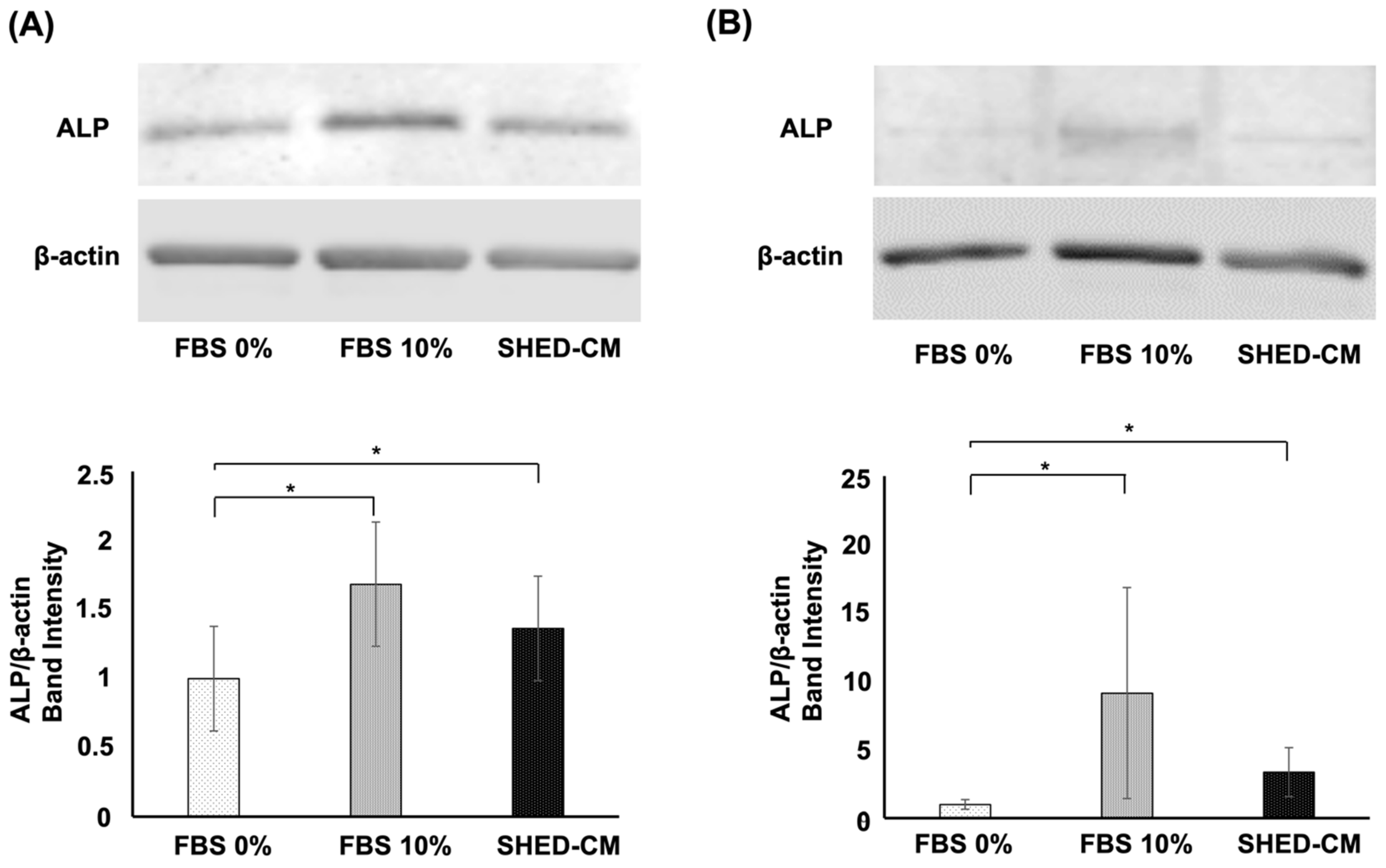 Cells 11 03222 g005 Cells 11 03222 g005