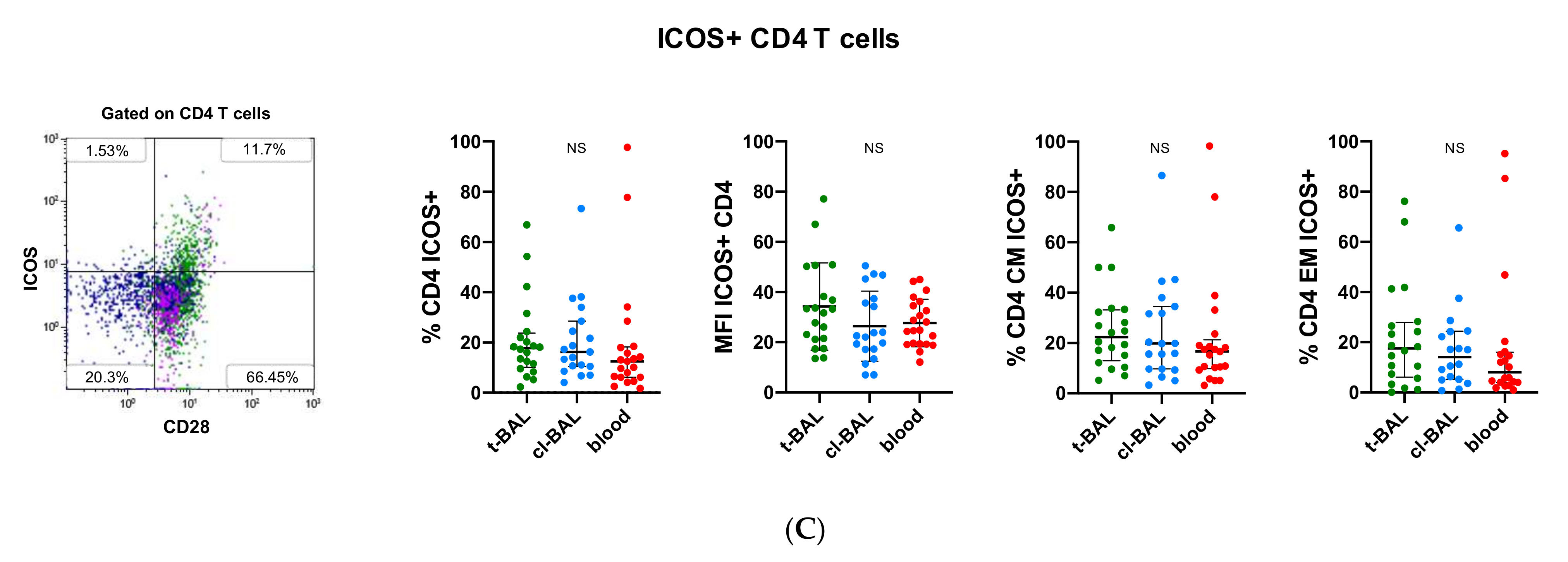 Cells 11 03226 g003b