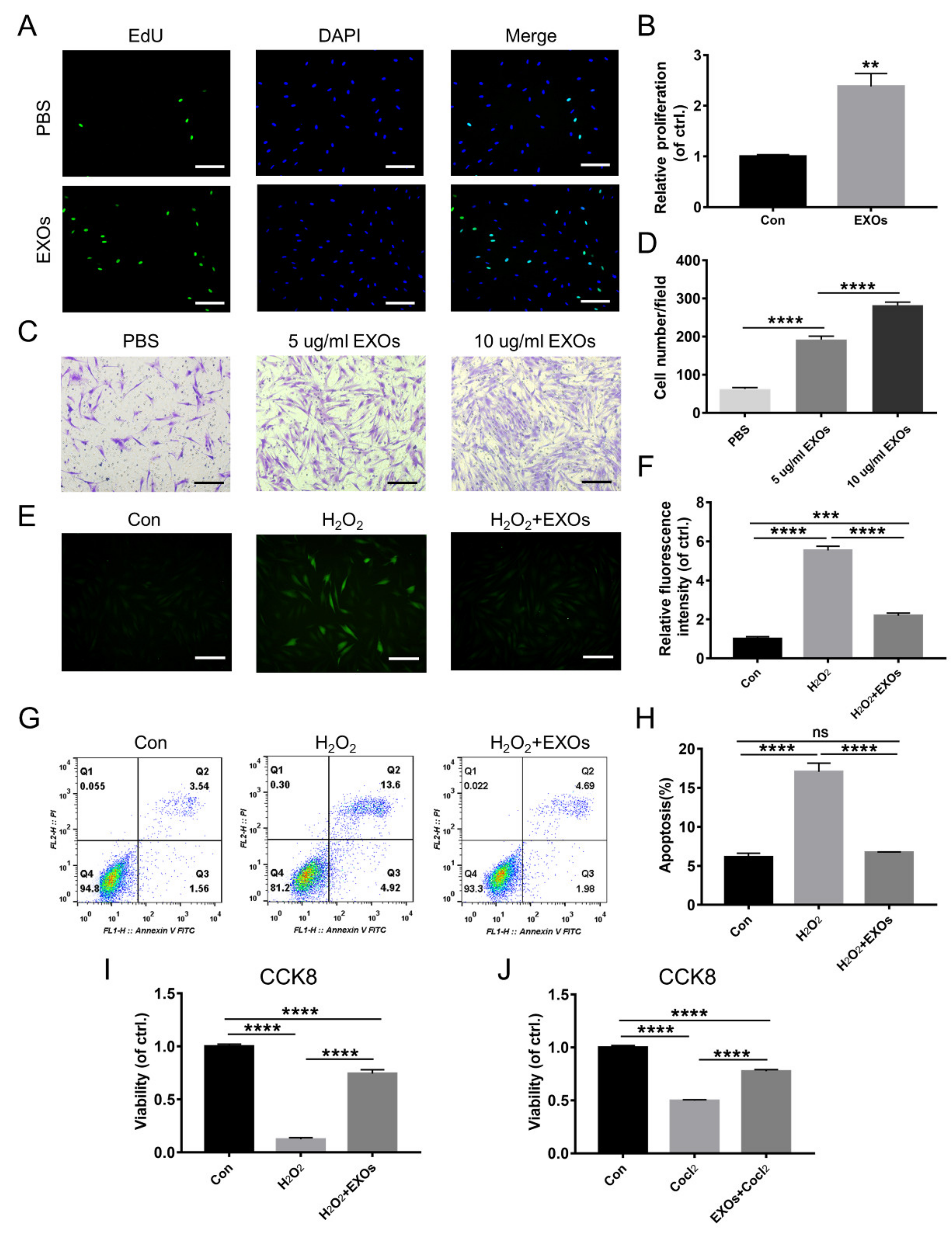 Cells 11 03229 g001 Cells 11 03229 g001