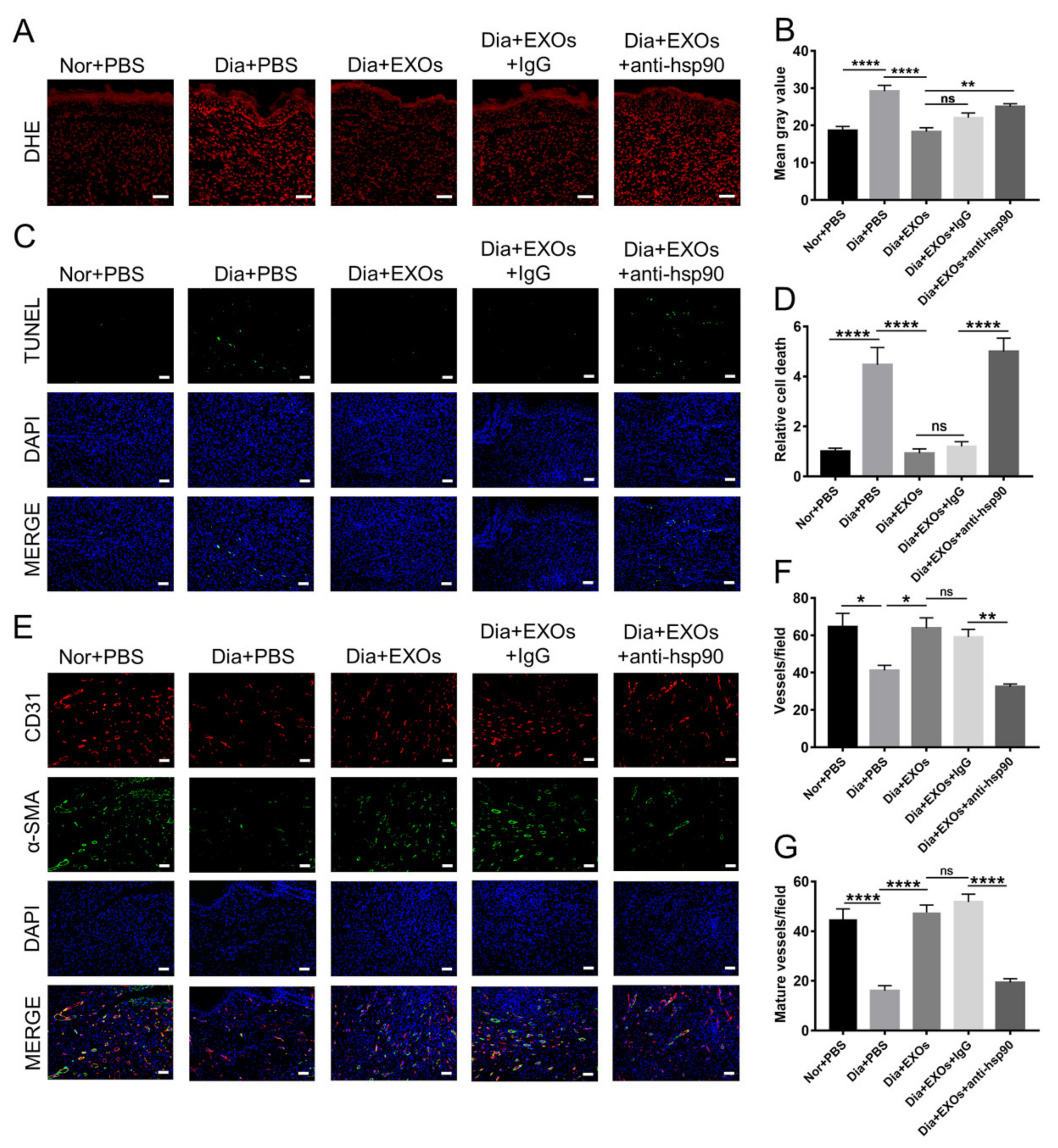 Cells 11 03229 g007 Cells 11 03229 g007