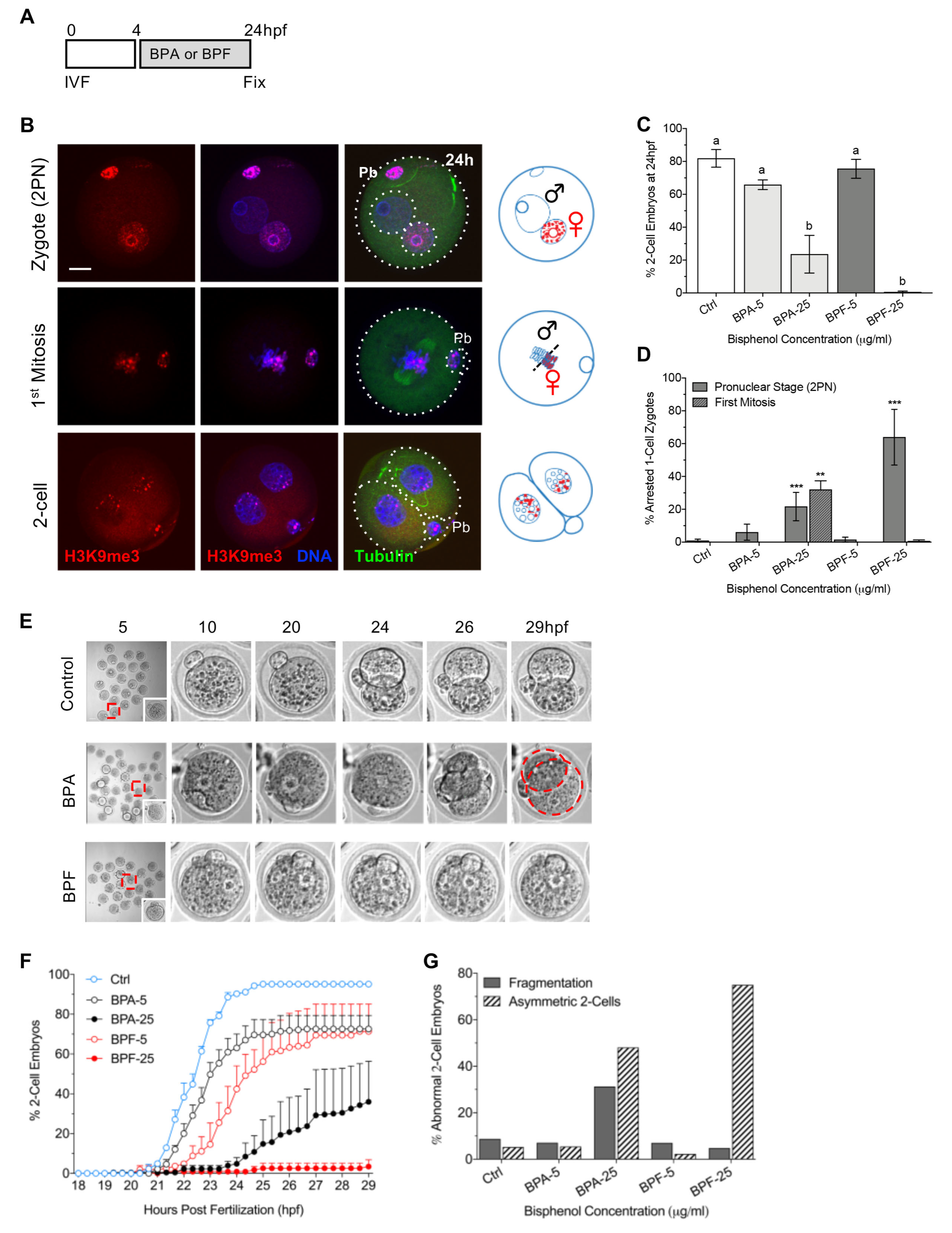 Cells 11 03233 g001 Cells 11 03233 g001